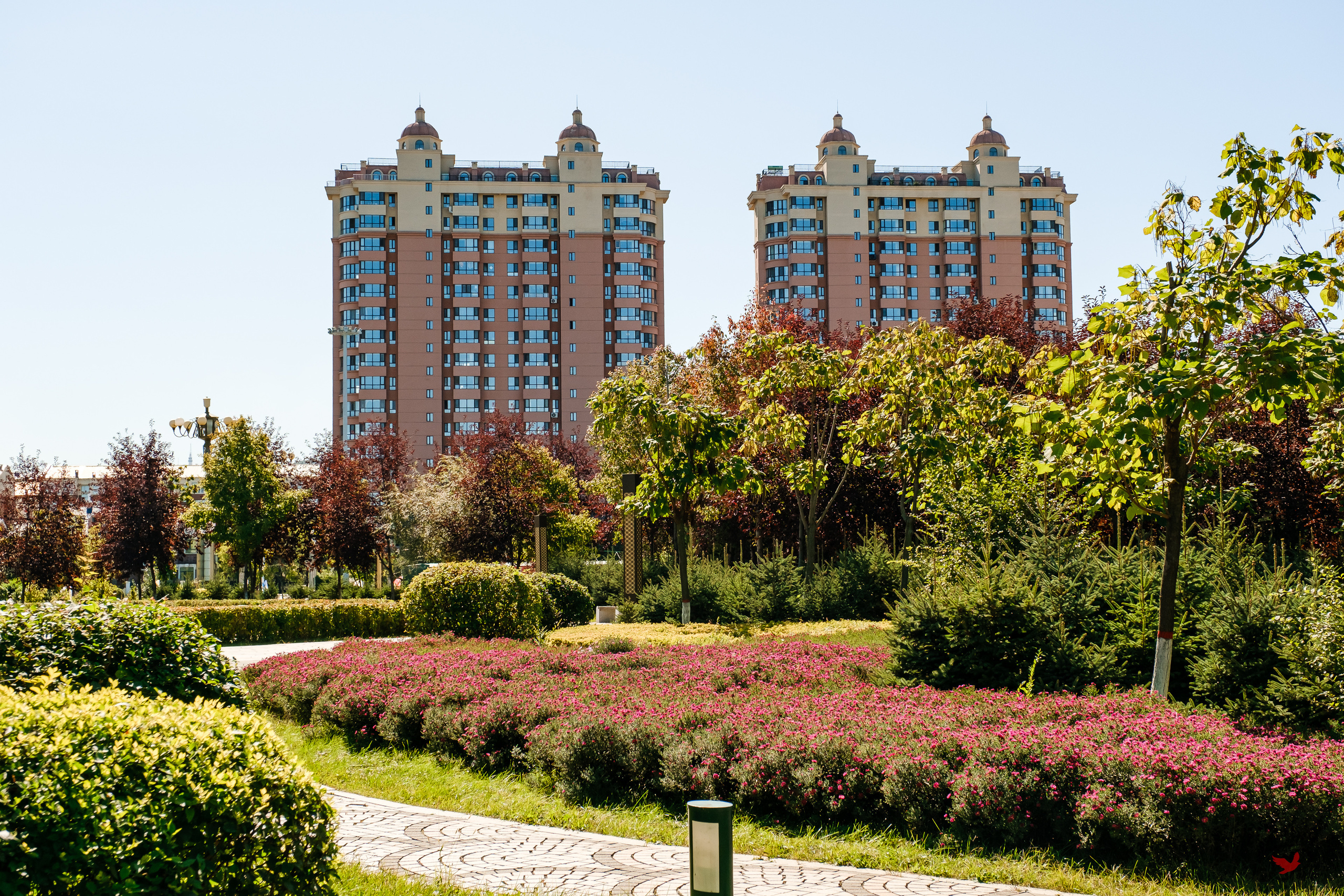 Поездка в Фуюань из Хабаровска. Свадебный фотограф в Хабаровске