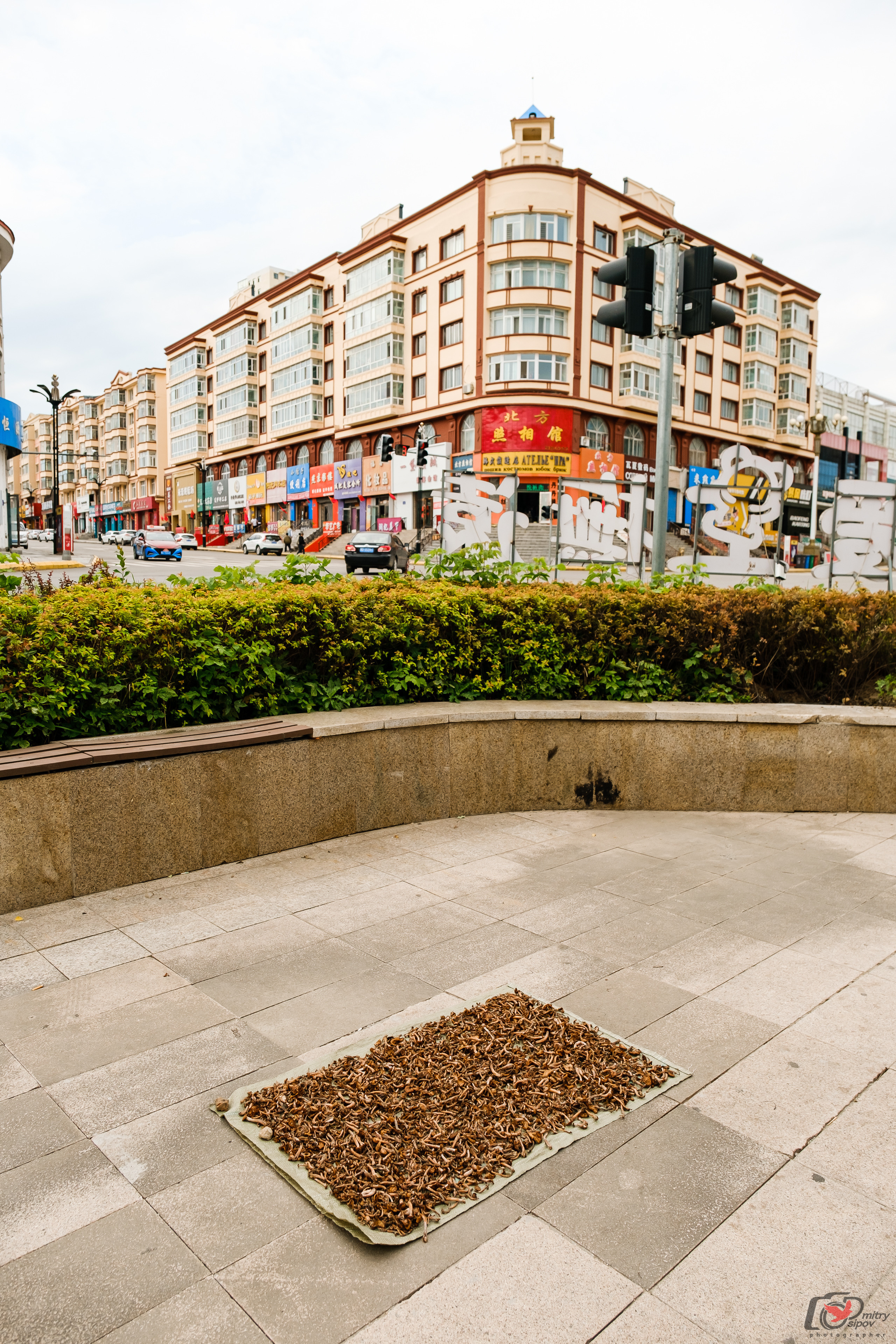 Поездка в Фуюань из Хабаровска. Свадебный фотограф в Хабаровске