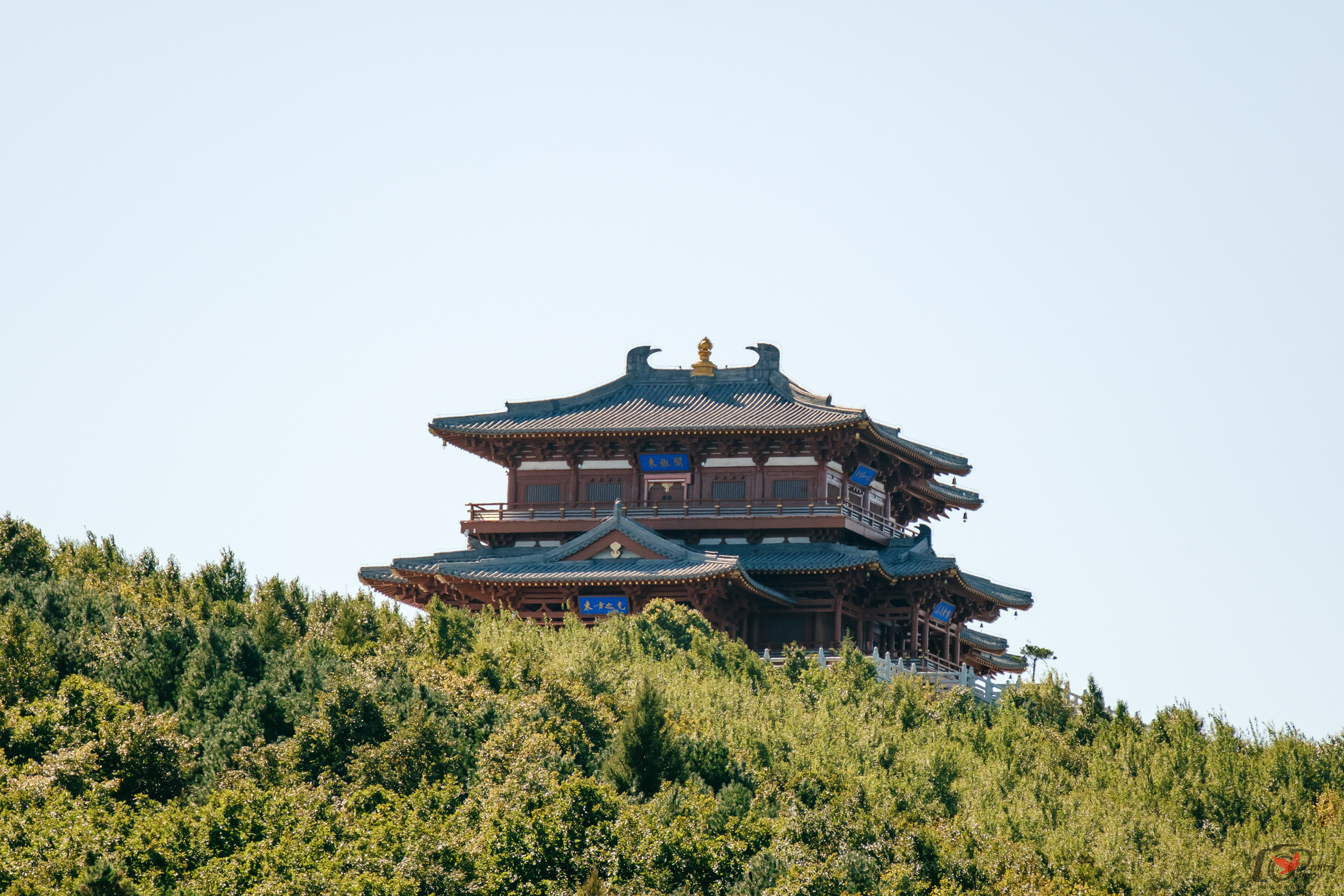 Поездка в Фуюань из Хабаровска. Свадебный фотограф в Хабаровске
