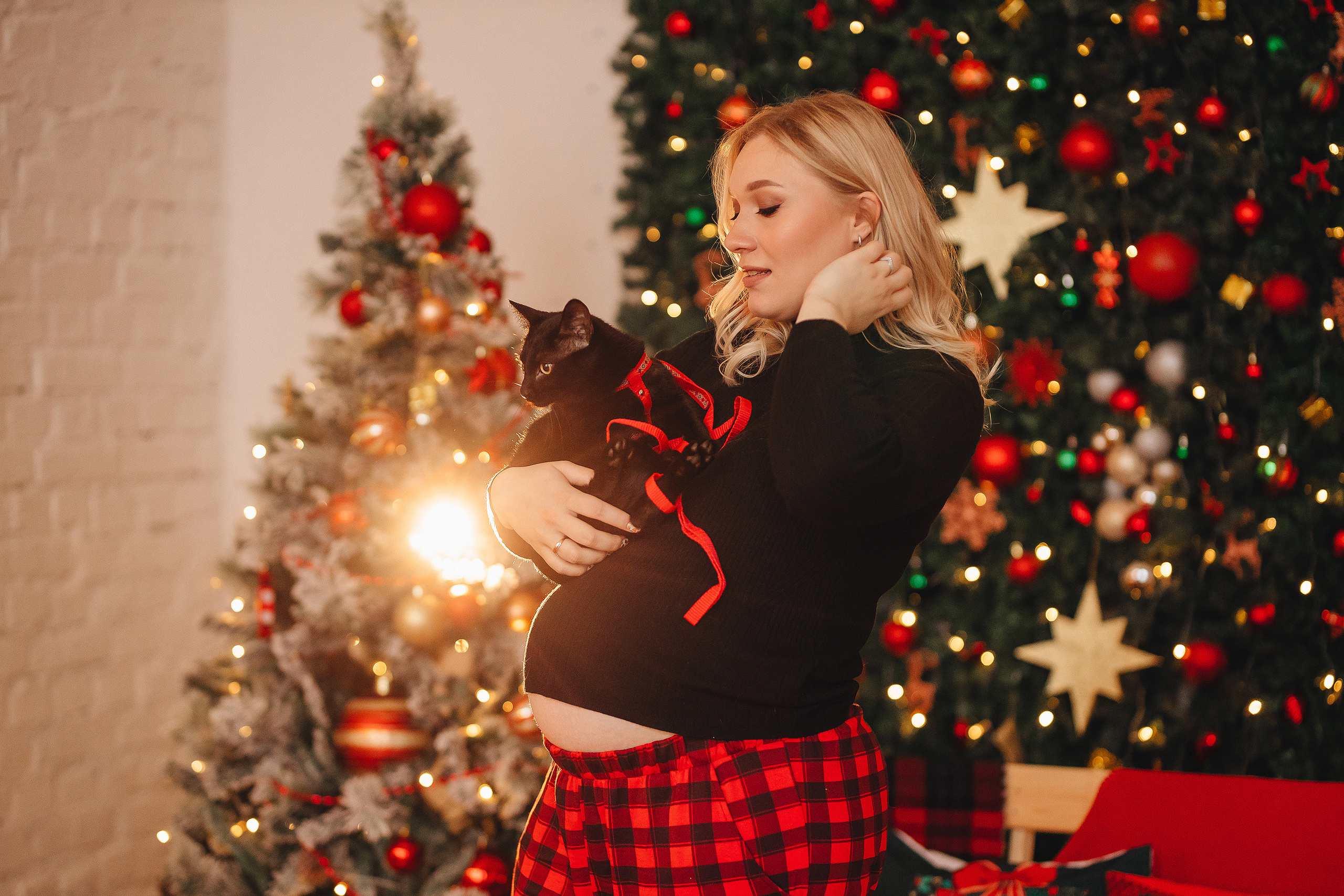 Кот Люцифер. Свадебный и семейный фотограф в Туле и области Маша Костина