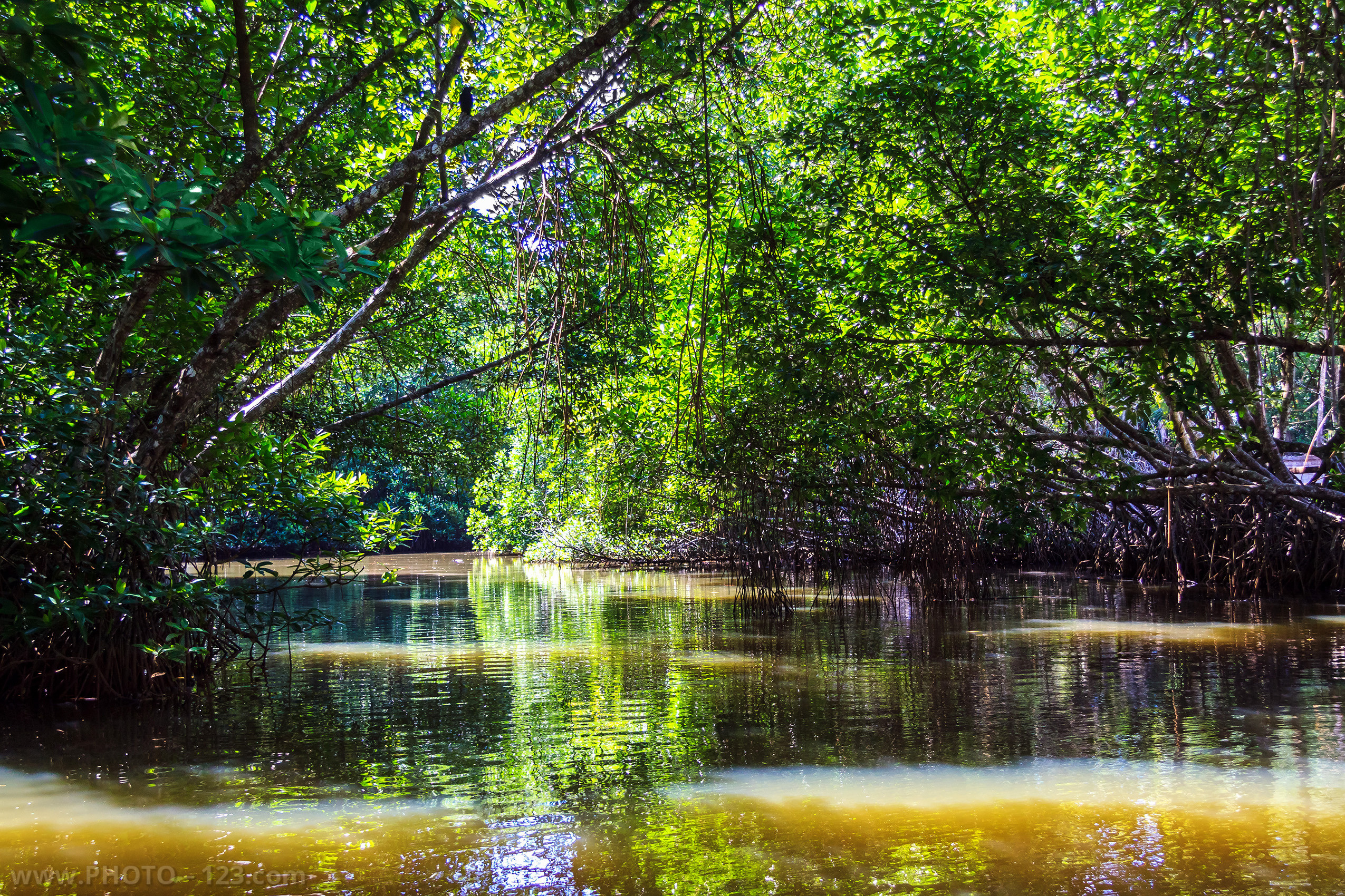 Landscape. Photographer, Retoucher & Graphic Designer @photo123pro