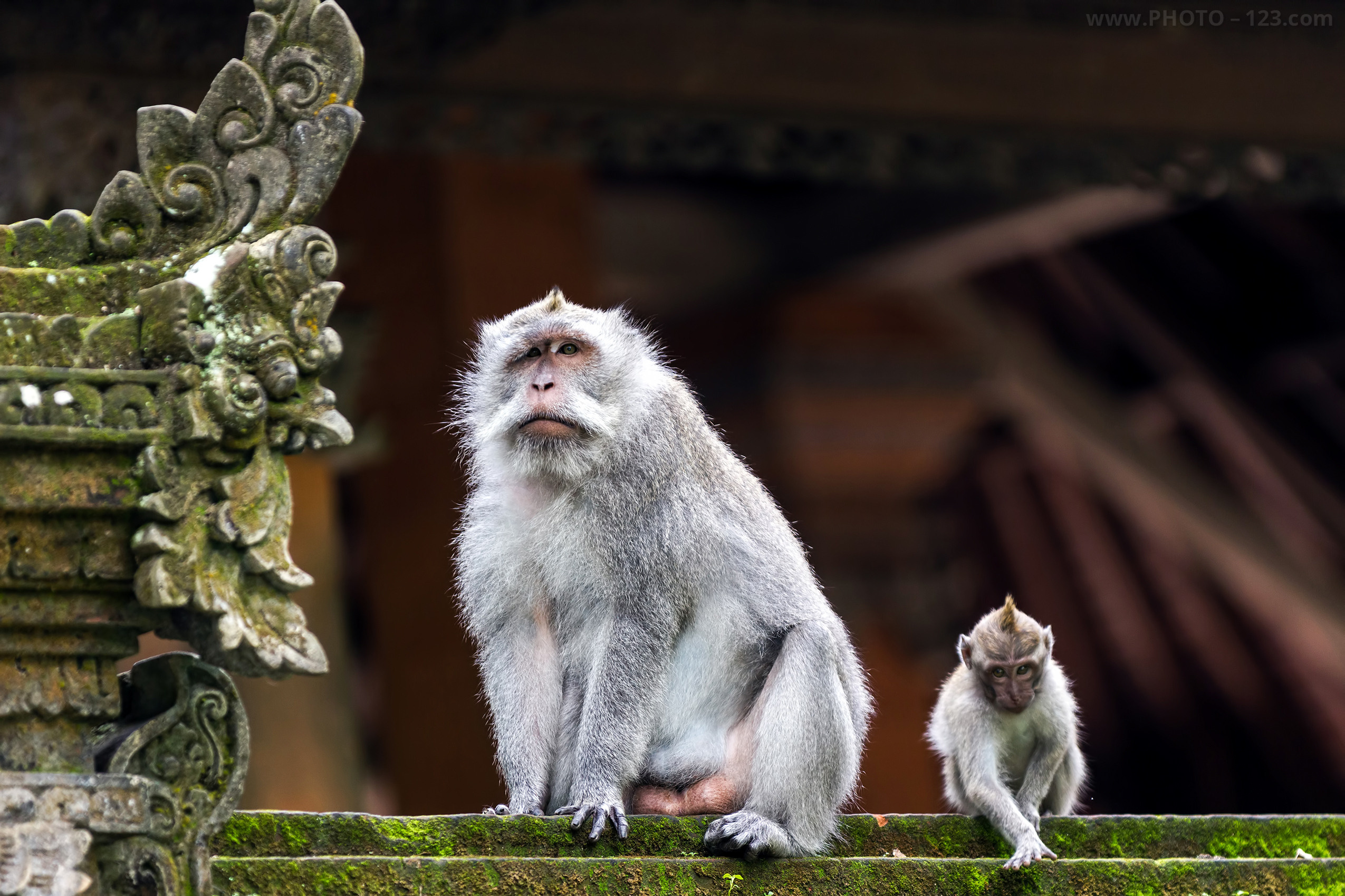 Nature. Photographer, Retoucher & Graphic Designer @photo123pro