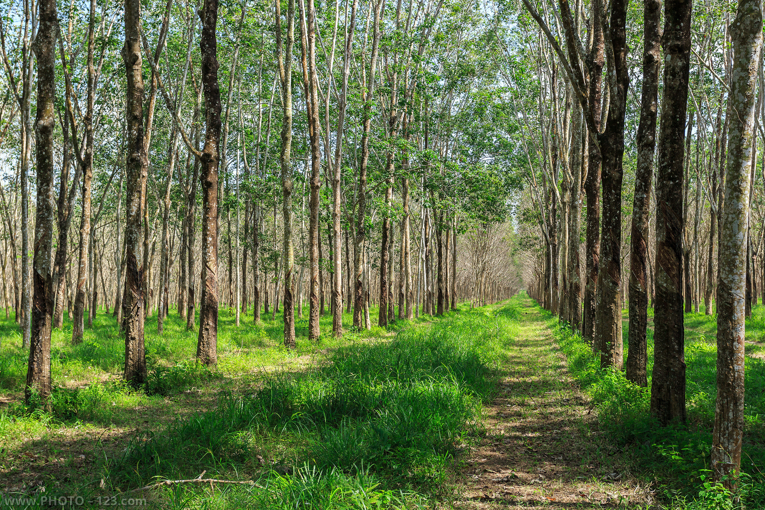 Landscape. Photographer, Retoucher & Graphic Designer @photo123pro