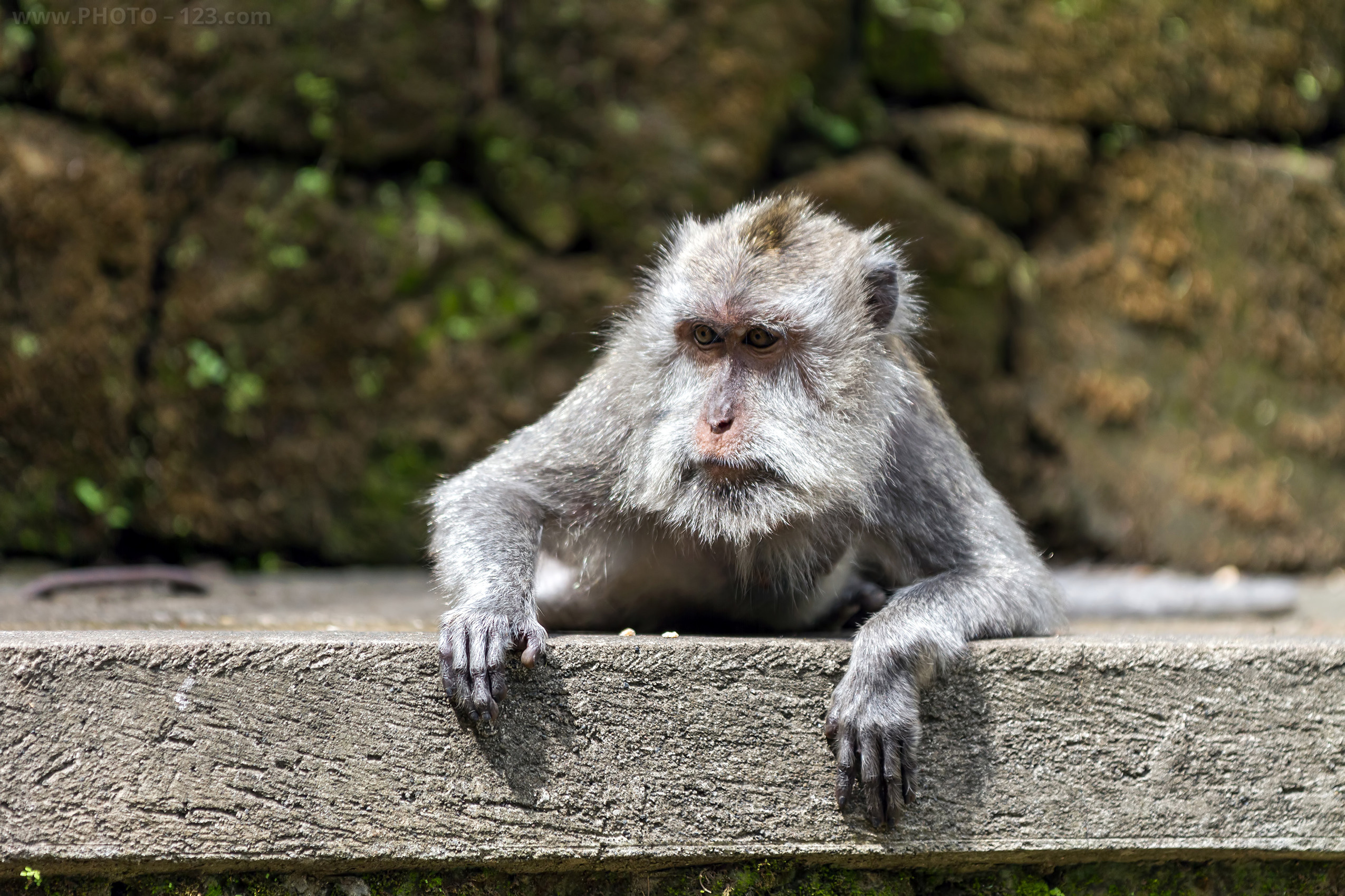 Nature. Photographer, Retoucher & Graphic Designer @photo123pro