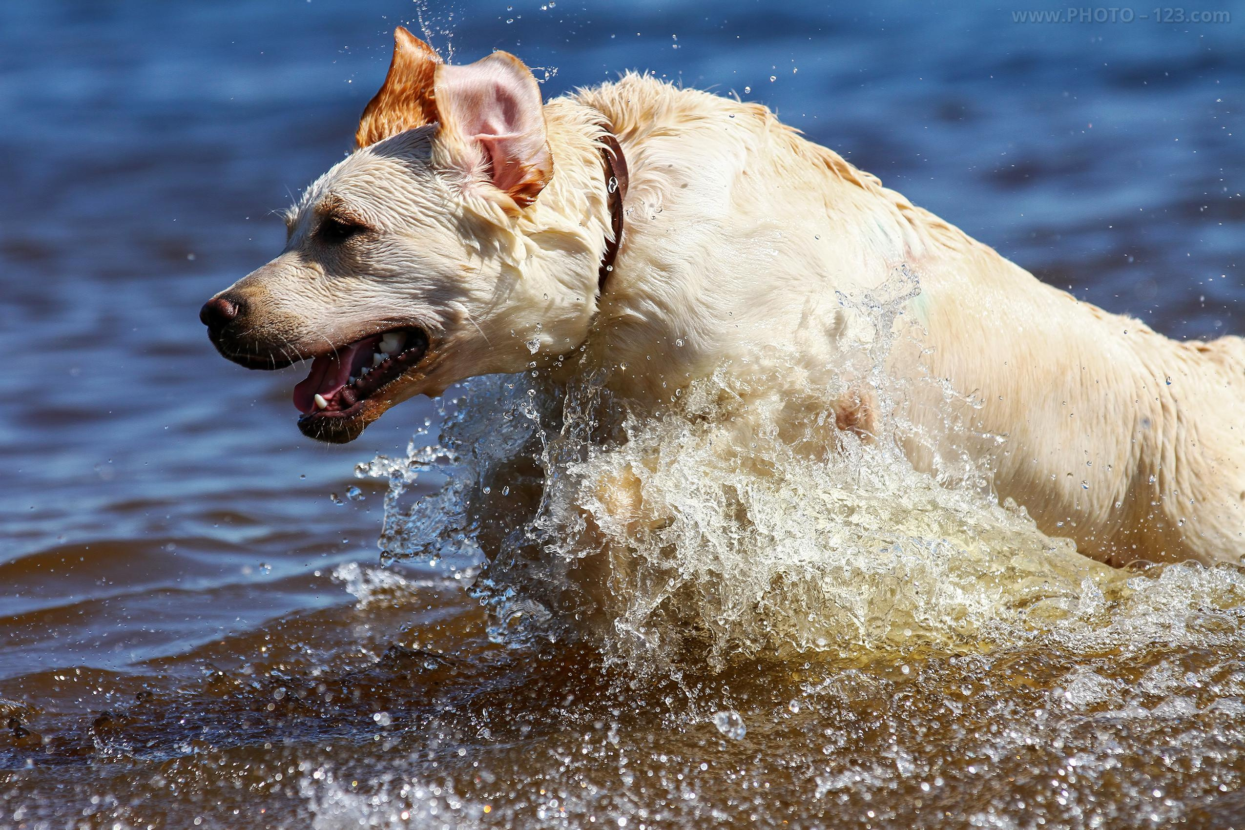 Nature. Photographer, Retoucher & Graphic Designer @photo123pro