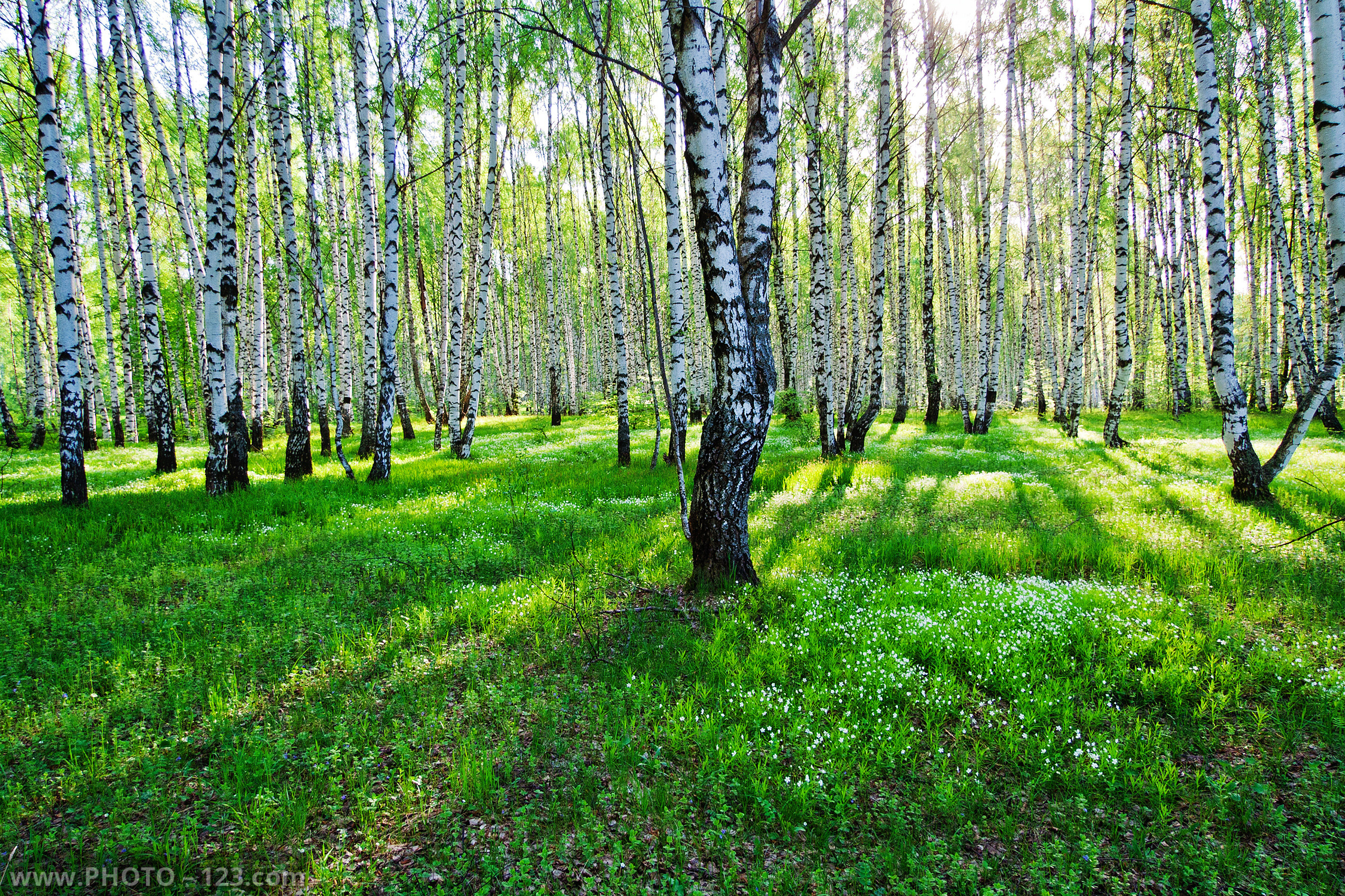 Landscape. Photographer, Retoucher & Graphic Designer @photo123pro