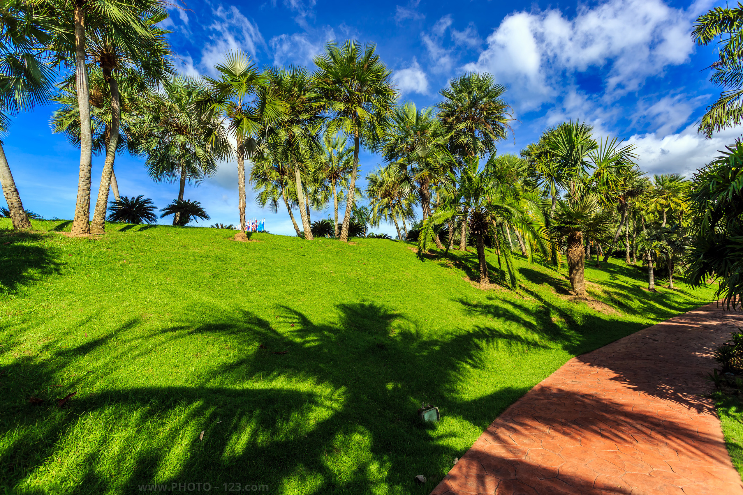 Landscape. Photographer, Retoucher & Graphic Designer @photo123pro