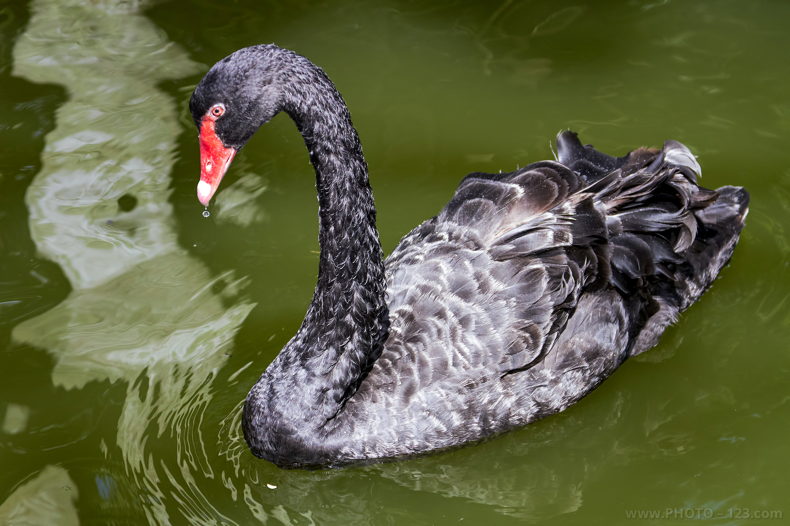 Nature. Photographer, Retoucher & Graphic Designer @photo123pro