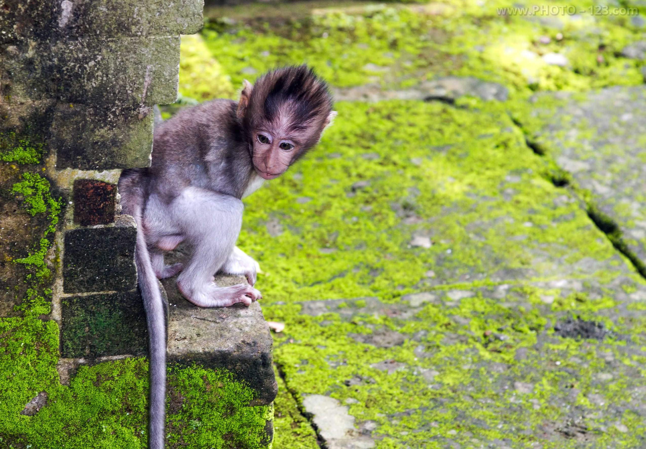 Nature. Photographer, Retoucher & Graphic Designer @photo123pro