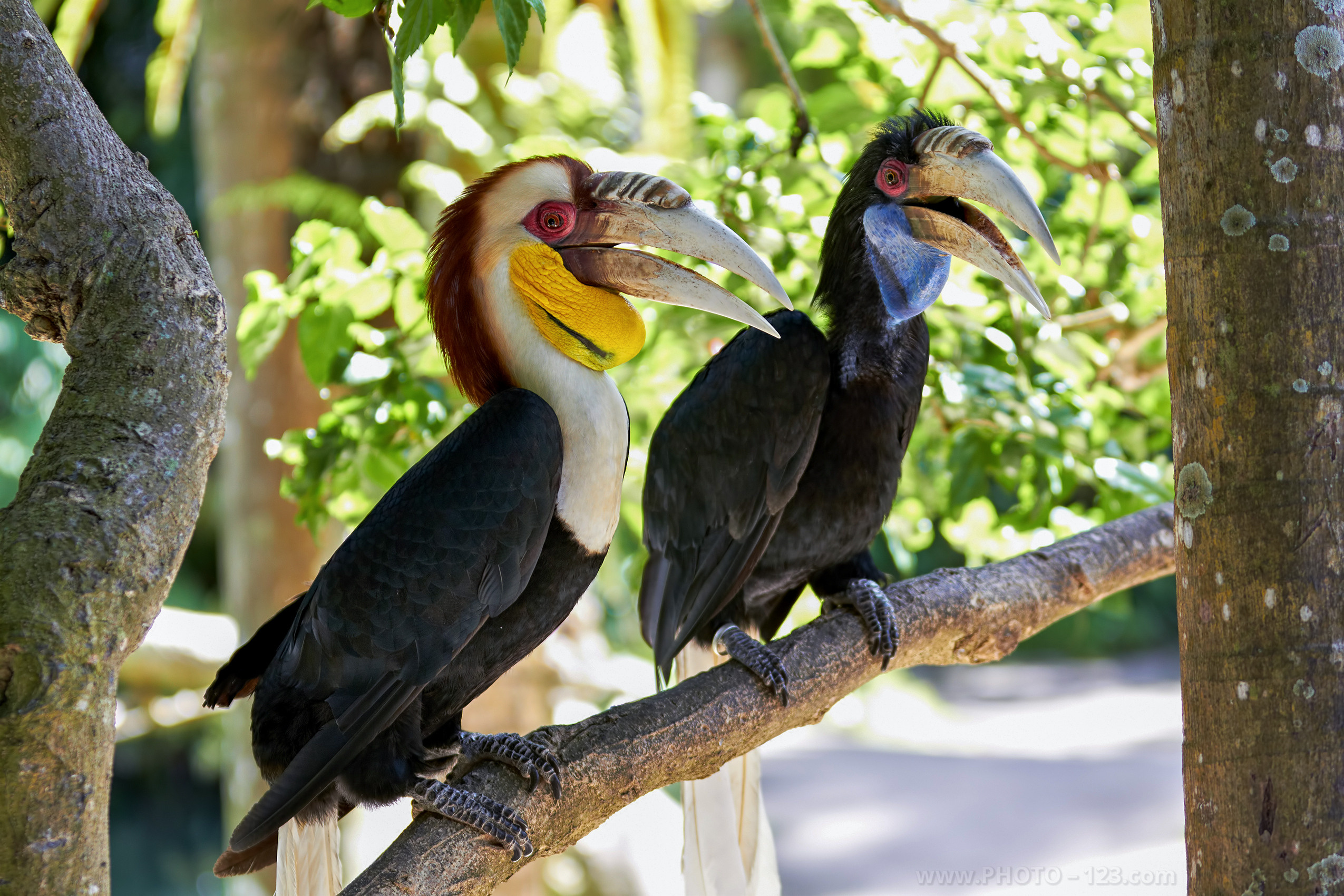 Nature. Photographer, Retoucher & Graphic Designer @photo123pro