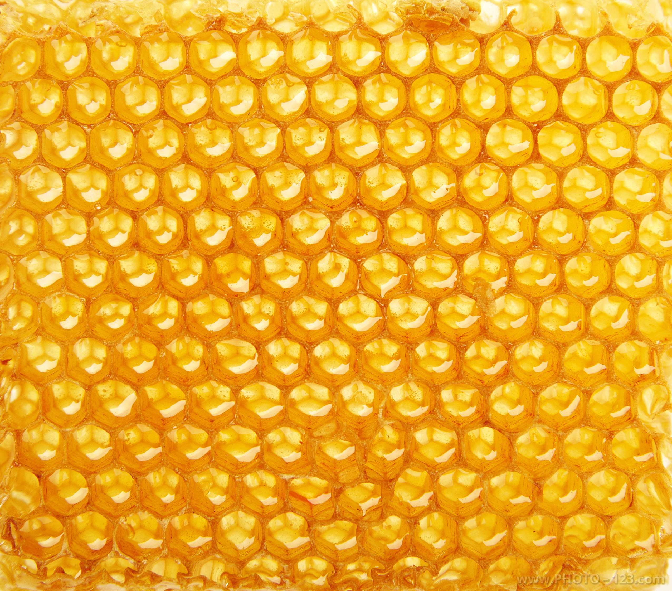 Advertising. Photographer Phu Quoc, Vietnam @photo123pro