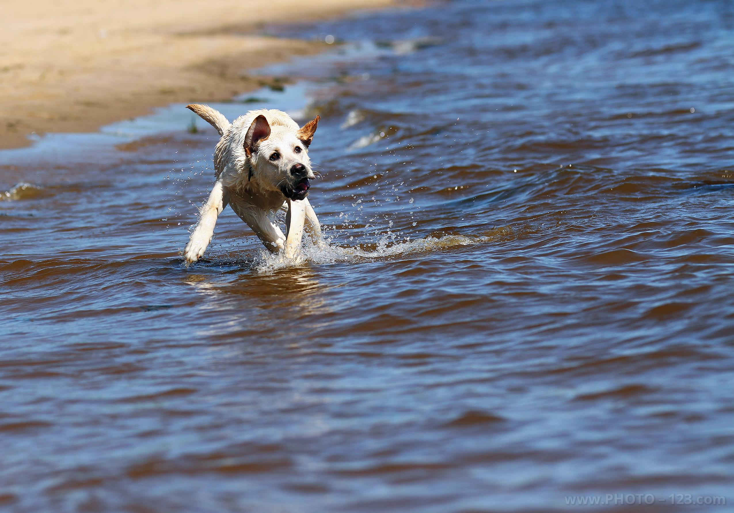 Nature. Photographer, Retoucher & Graphic Designer @photo123pro