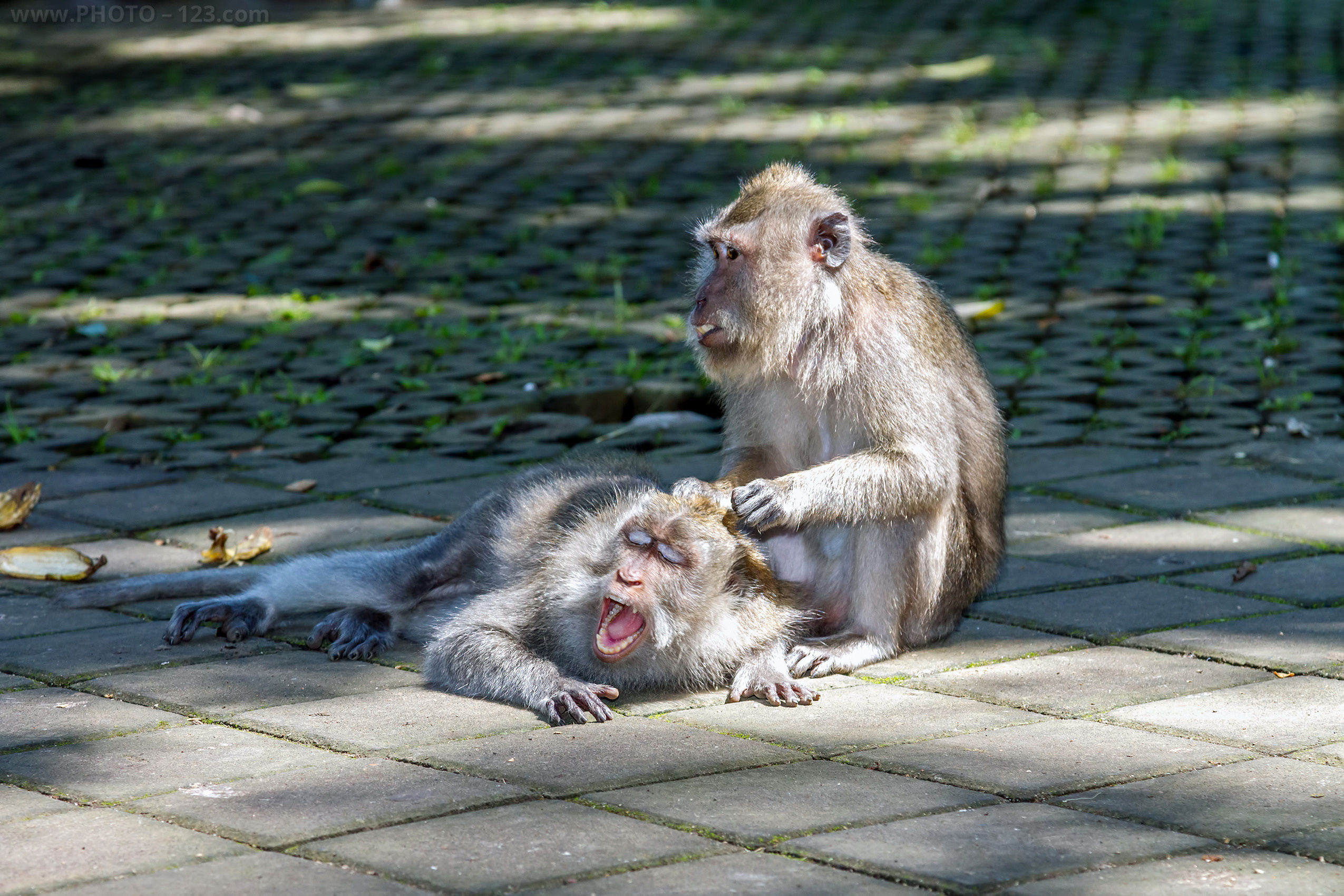 Nature. Photographer, Retoucher & Graphic Designer @photo123pro