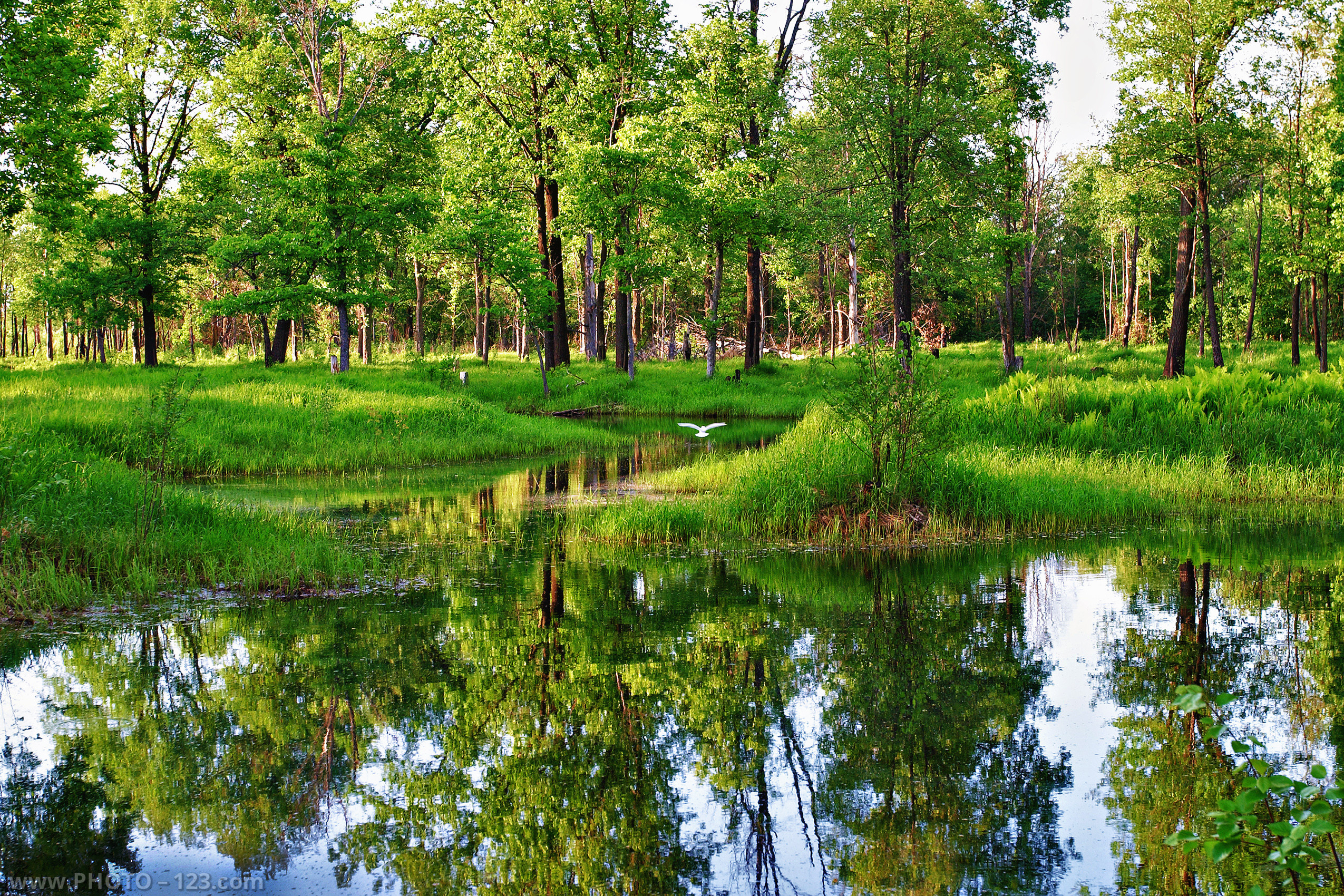 Landscape. Photographer, Retoucher & Graphic Designer @photo123pro