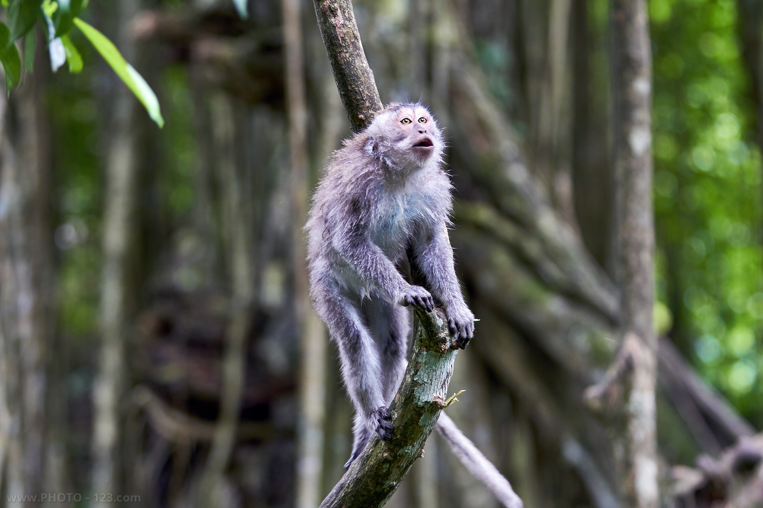 Nature. Photographer, Retoucher & Graphic Designer @photo123pro