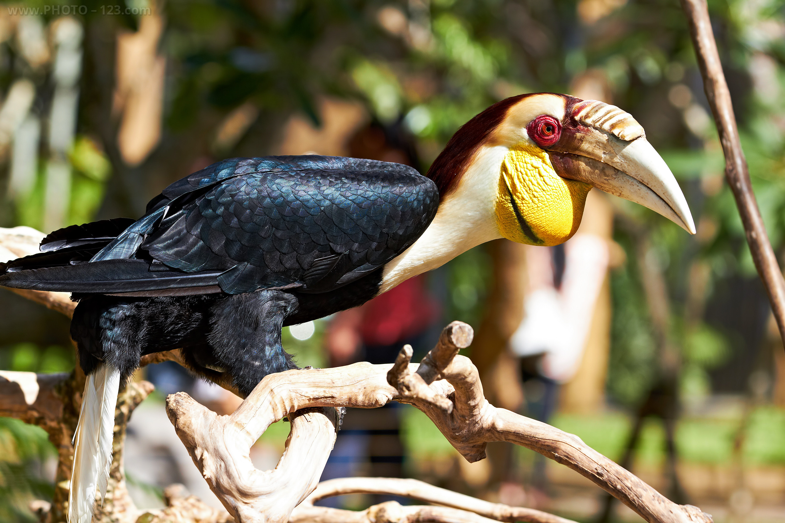 Nature. Photographer, Retoucher & Graphic Designer @photo123pro