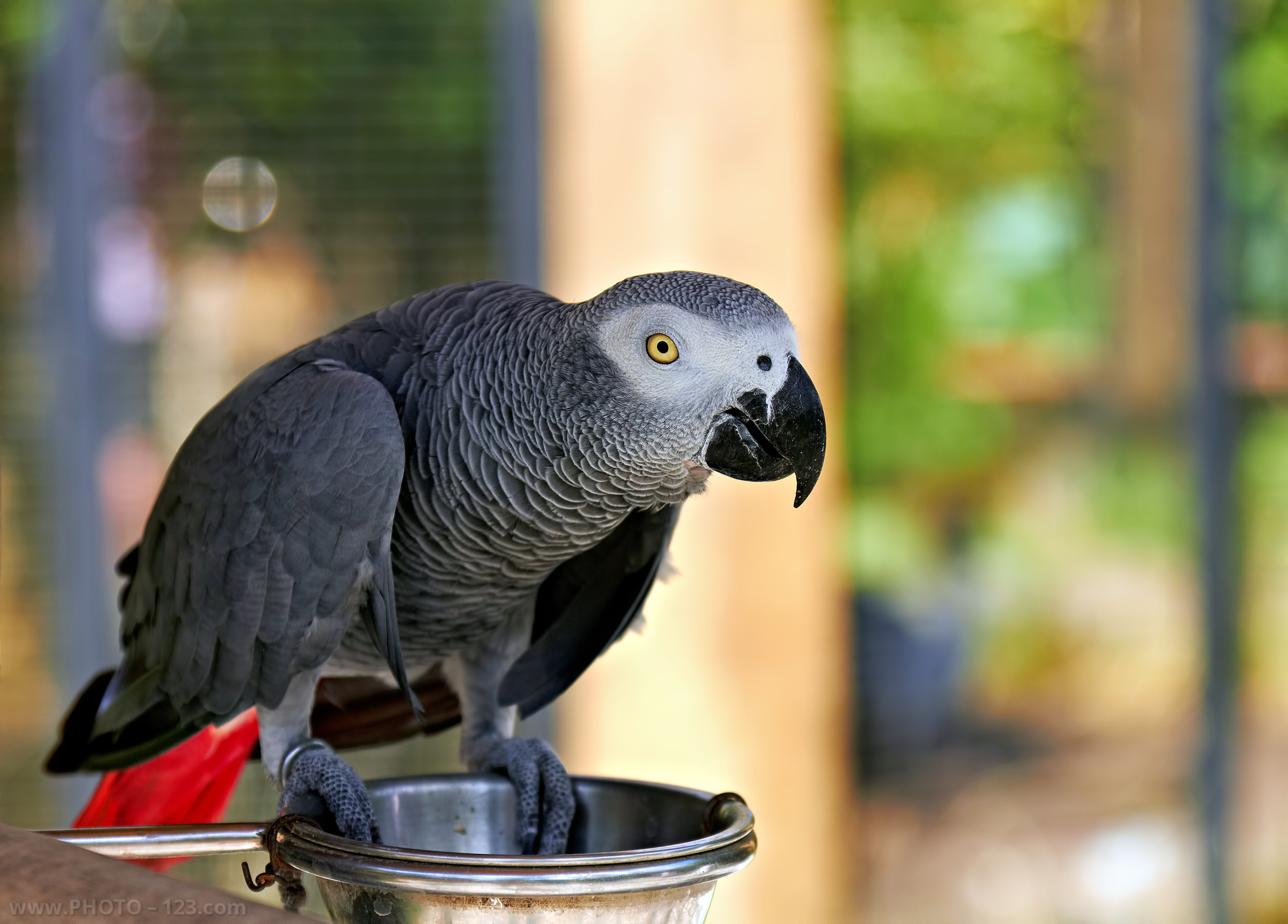 Nature. Photographer, Retoucher & Graphic Designer @photo123pro