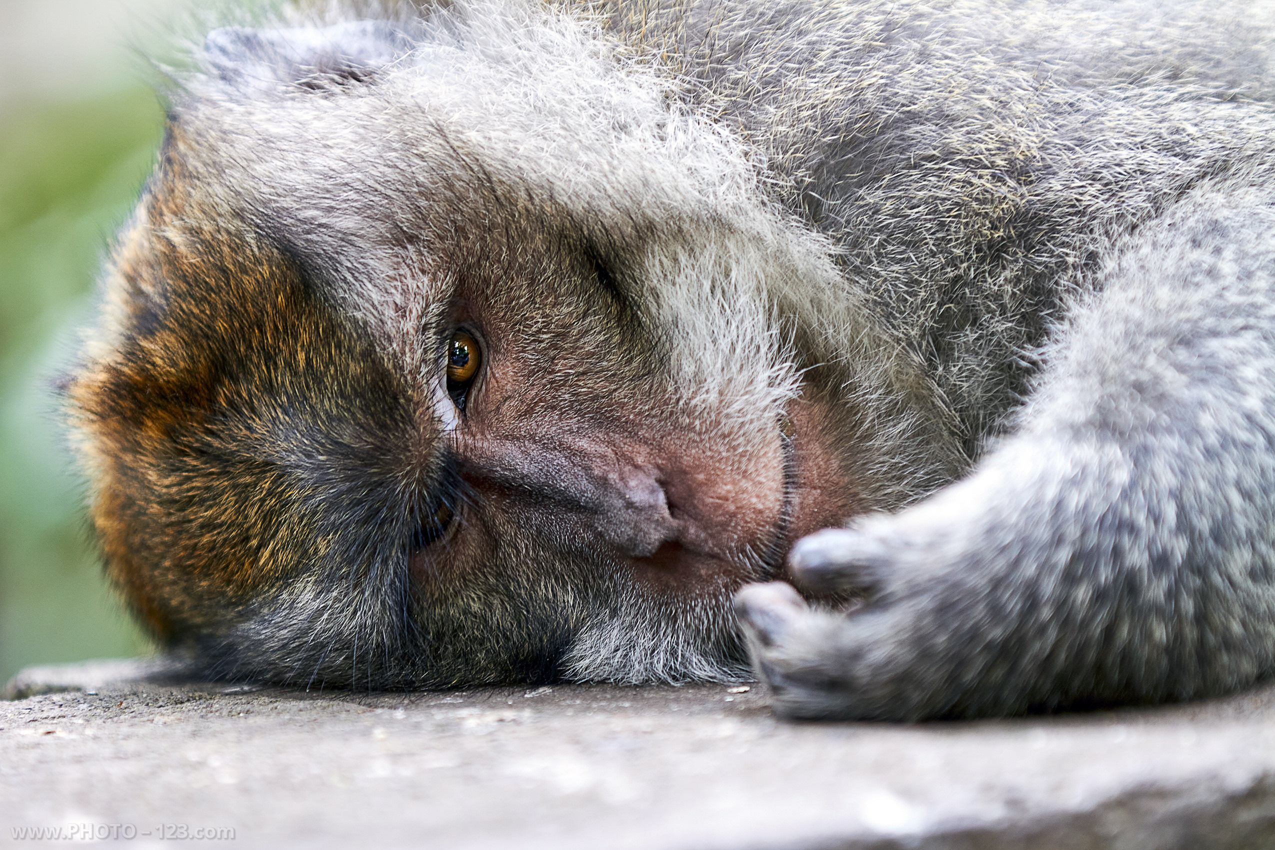 Nature. Photographer, Retoucher & Graphic Designer @photo123pro