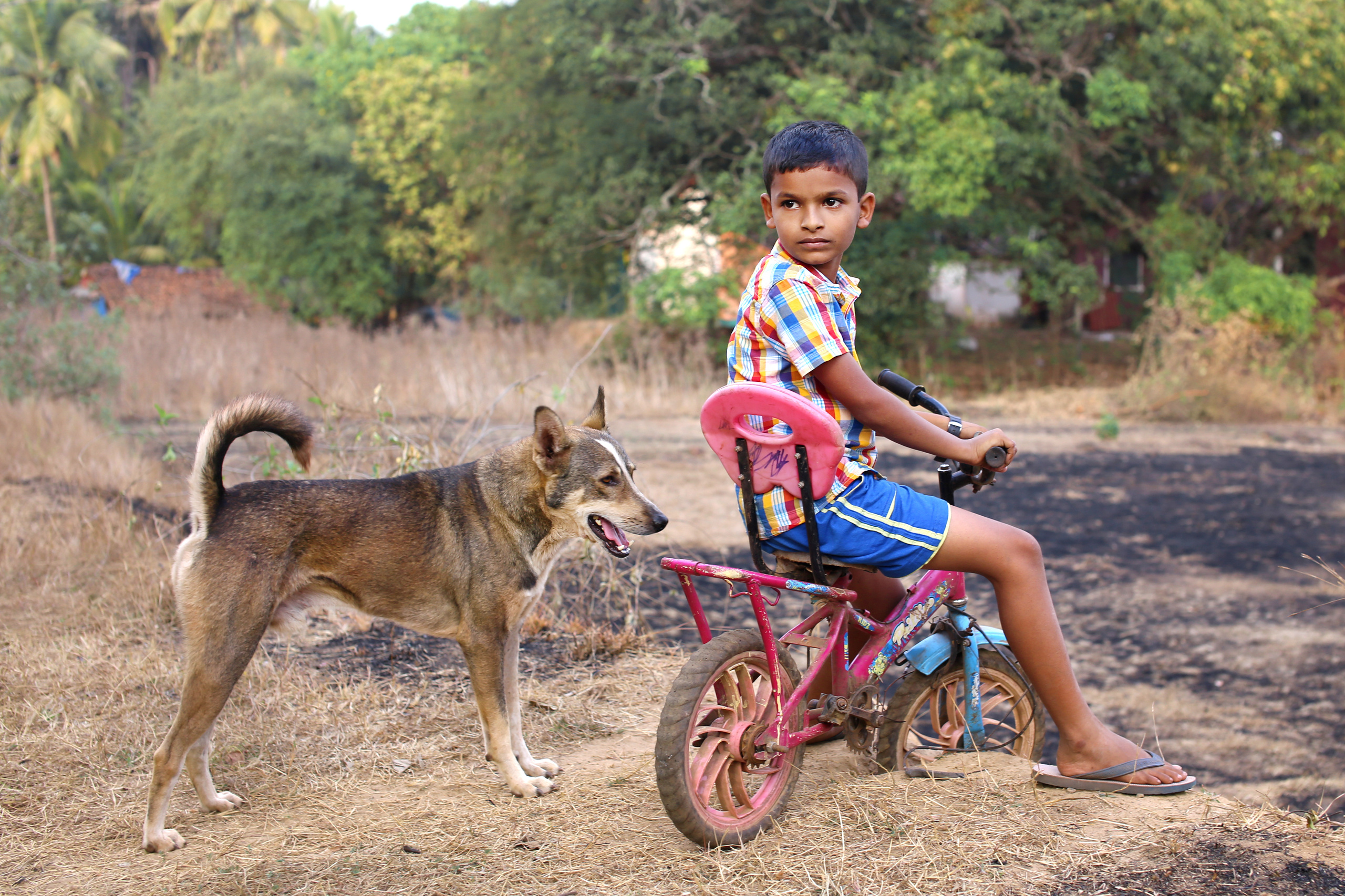 Индия 2019-2020. Фотограф Юля Постнова