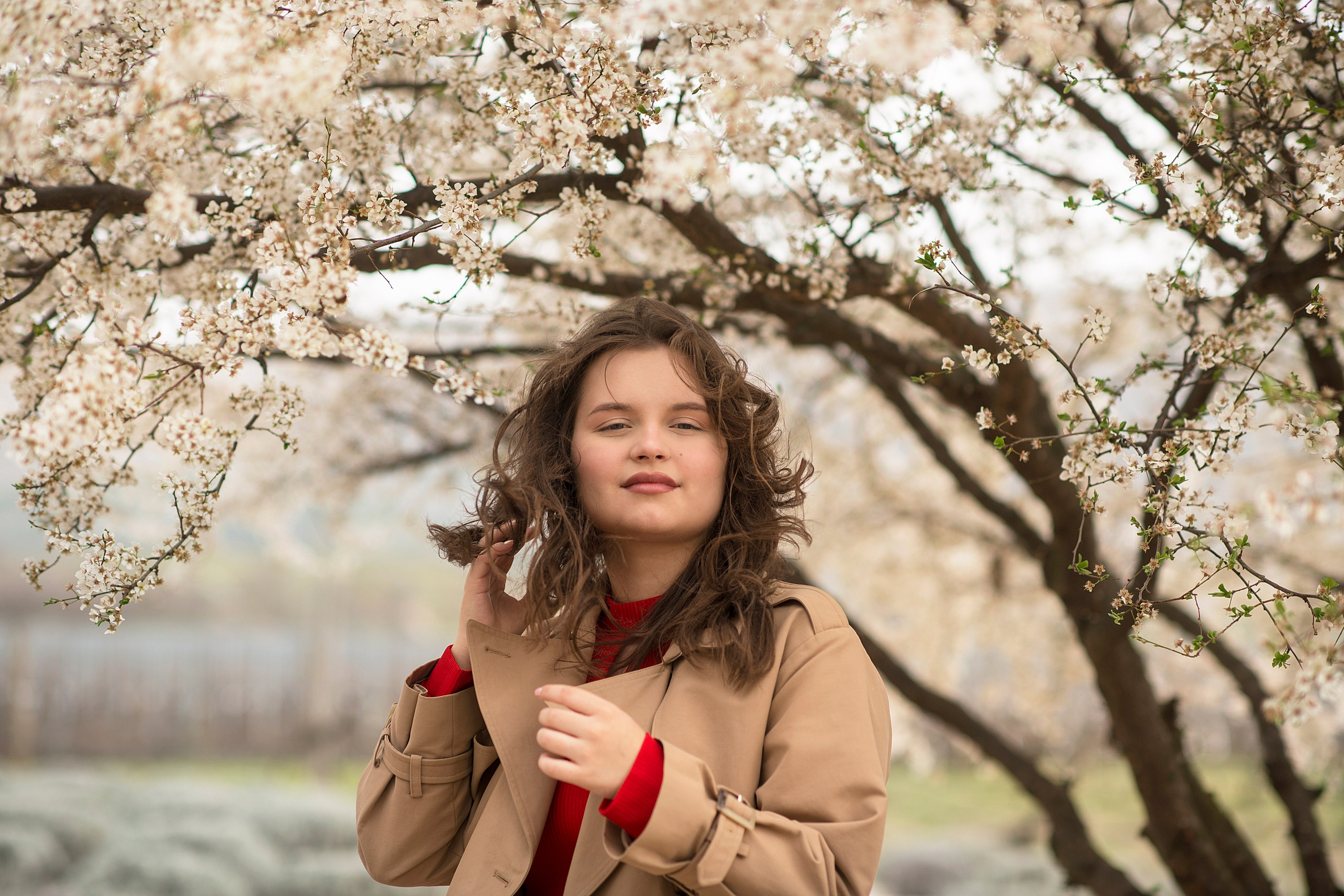 В цветущем миндале. Семейный и детский фотограф в Севастополе. Семейный фотограф в Ялте