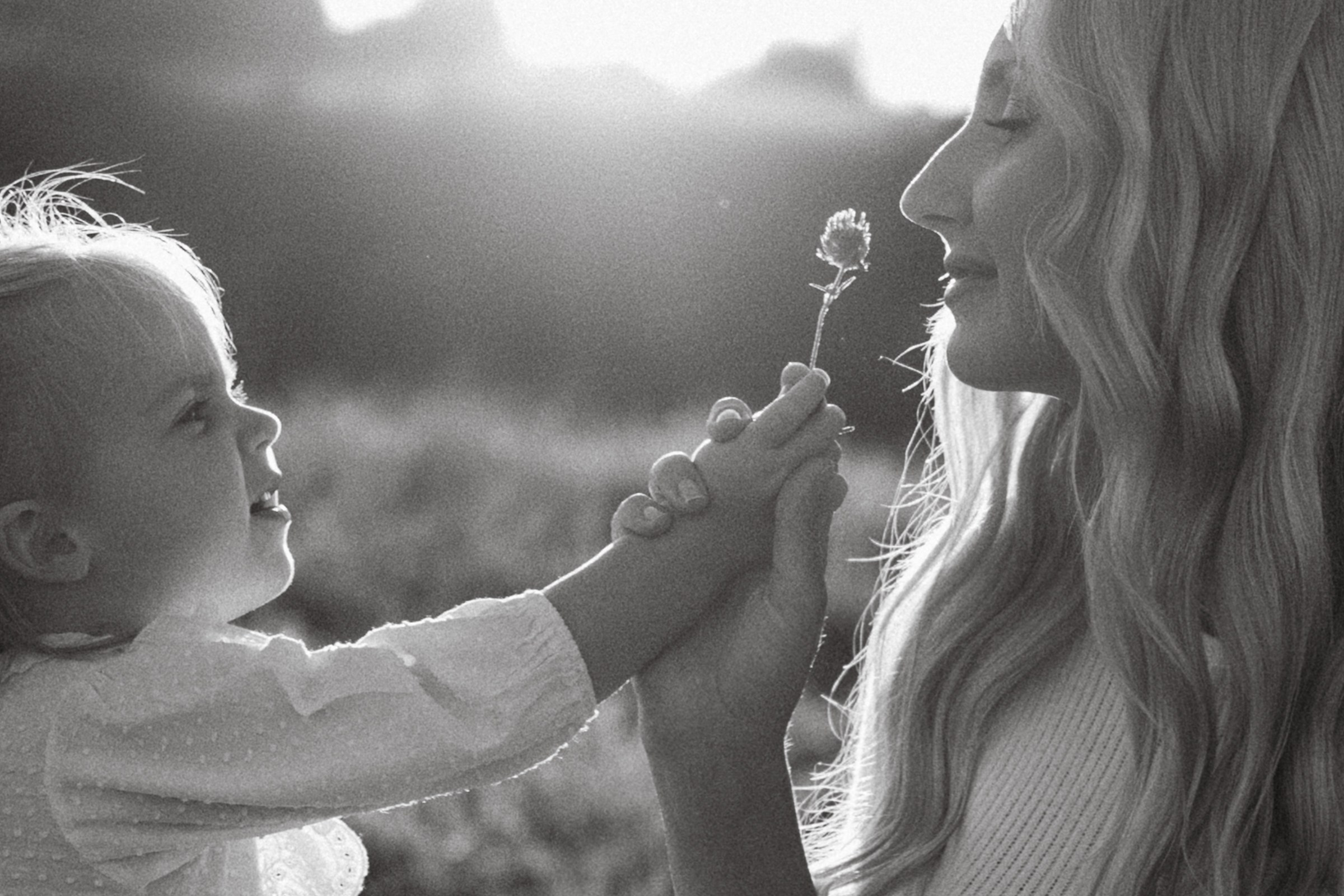 3+1. Фотограф Daria Wilner