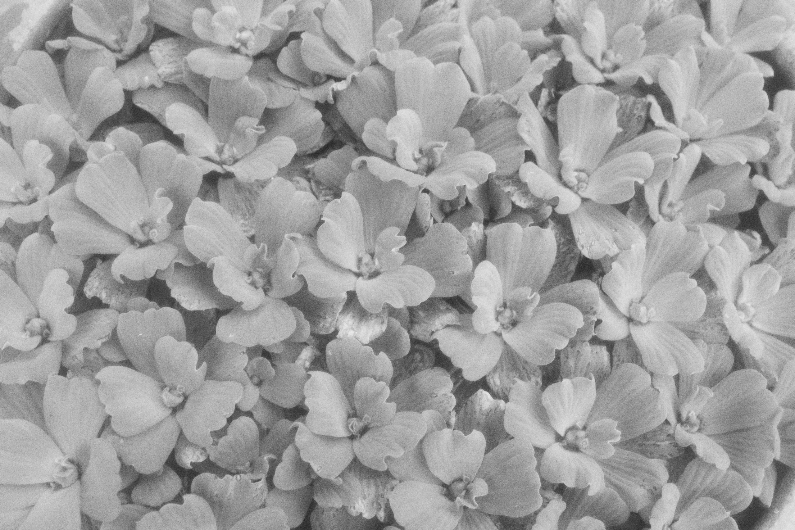 Where my favorite writer lived / Samui 2024. POLINA MÔMOT