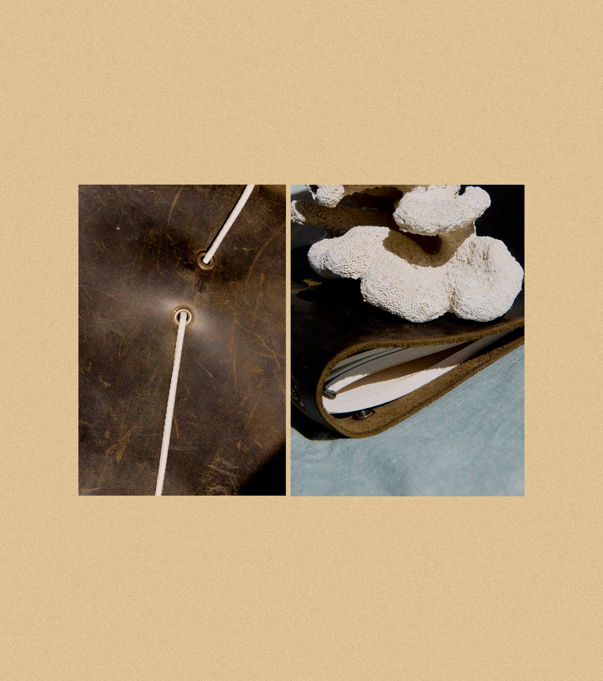 OBJECT & FOOD. EVGENYA PERESADOVA