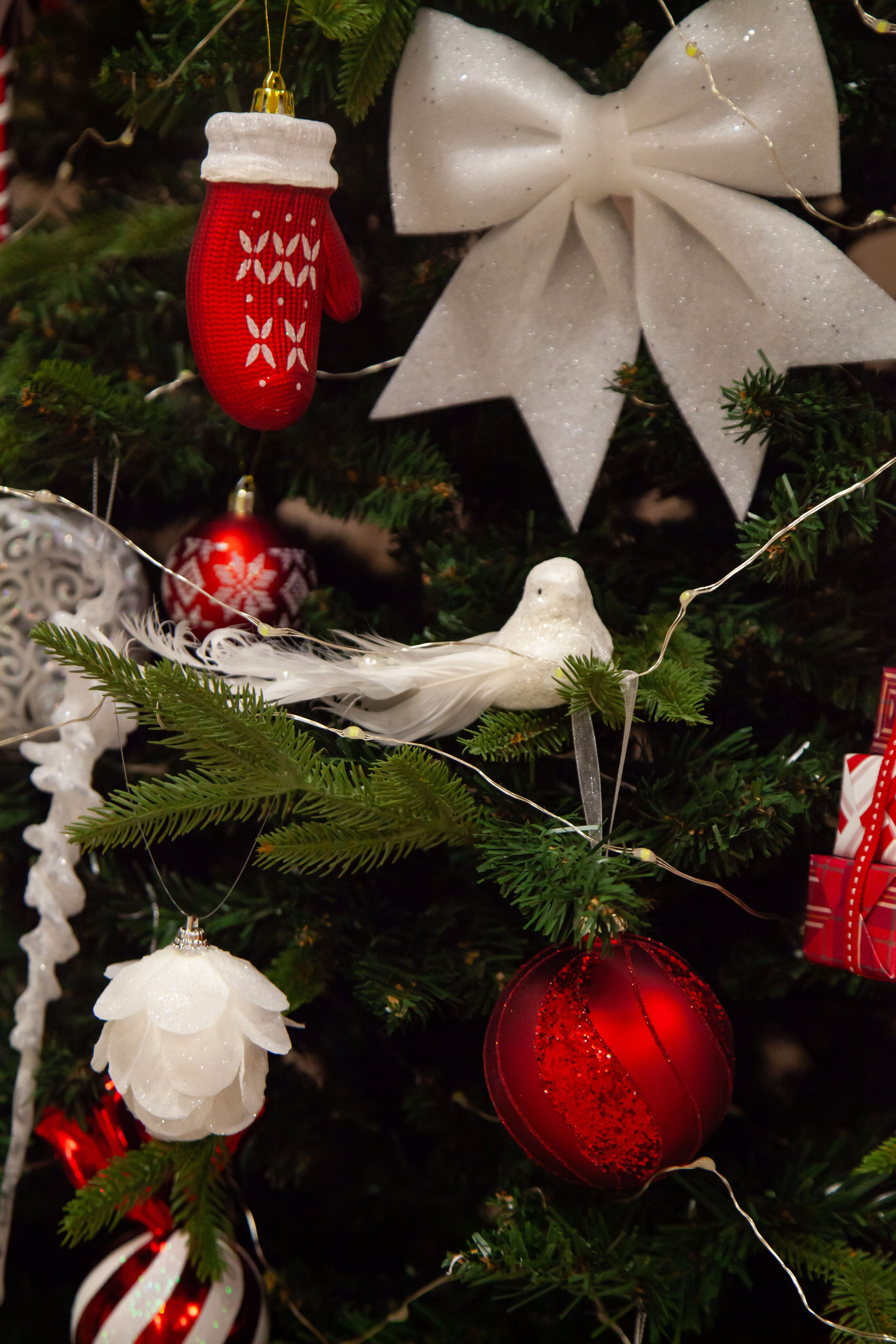 Новогодний утренник. 19.12.23. Профессиональное фото в Казани: от идеи до результата. Фотограф Яна Мур