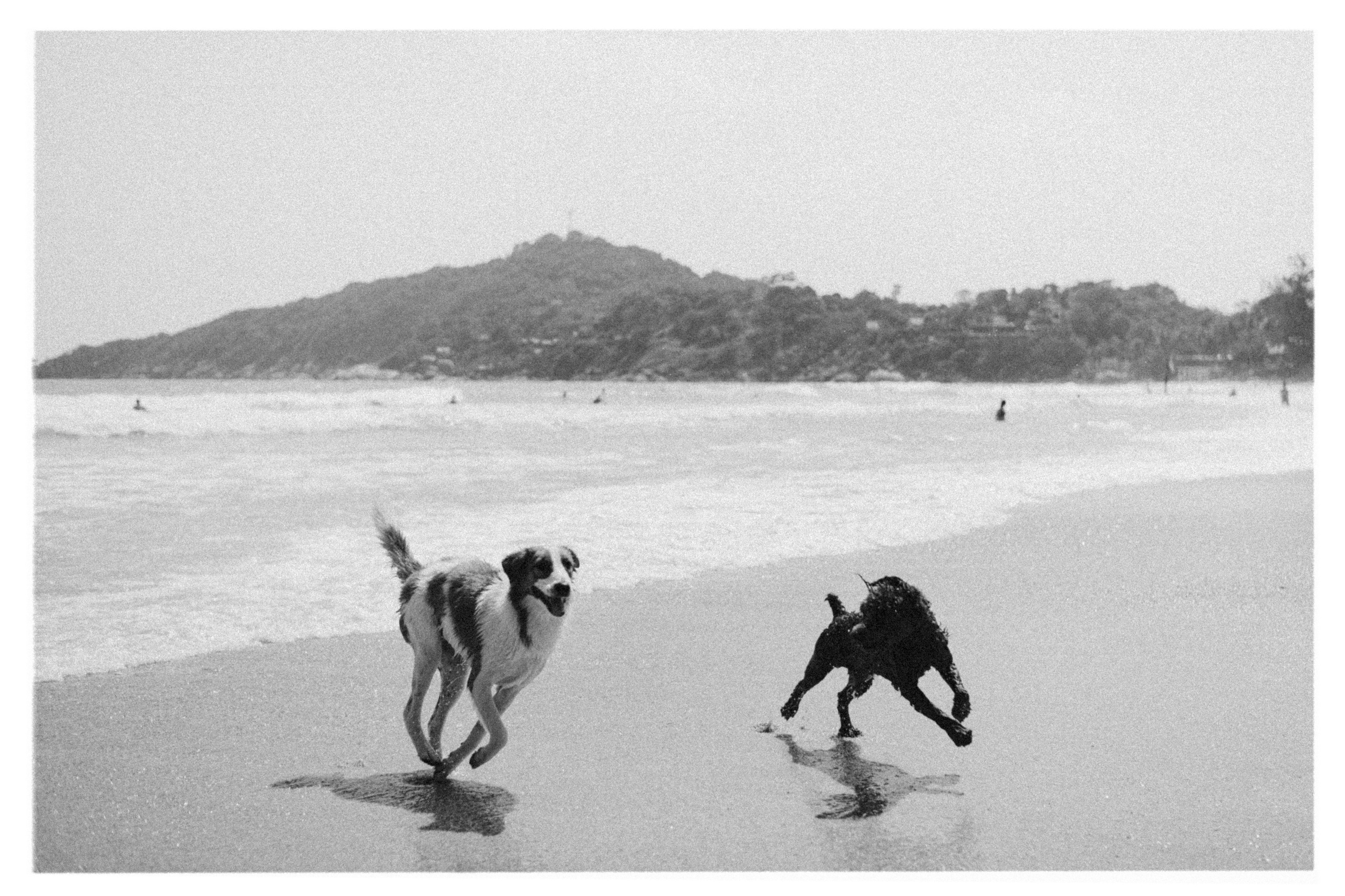 PAHNGAN 26. Свадебный и семейный фотограф Никита Корохов