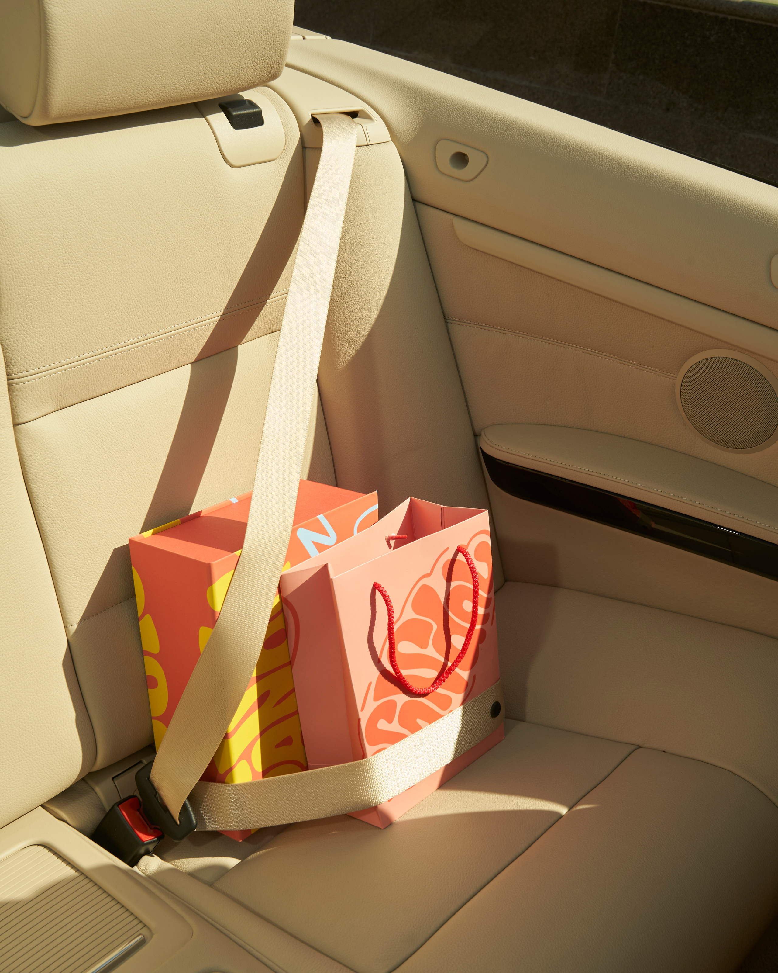 VANDAL. Photographer