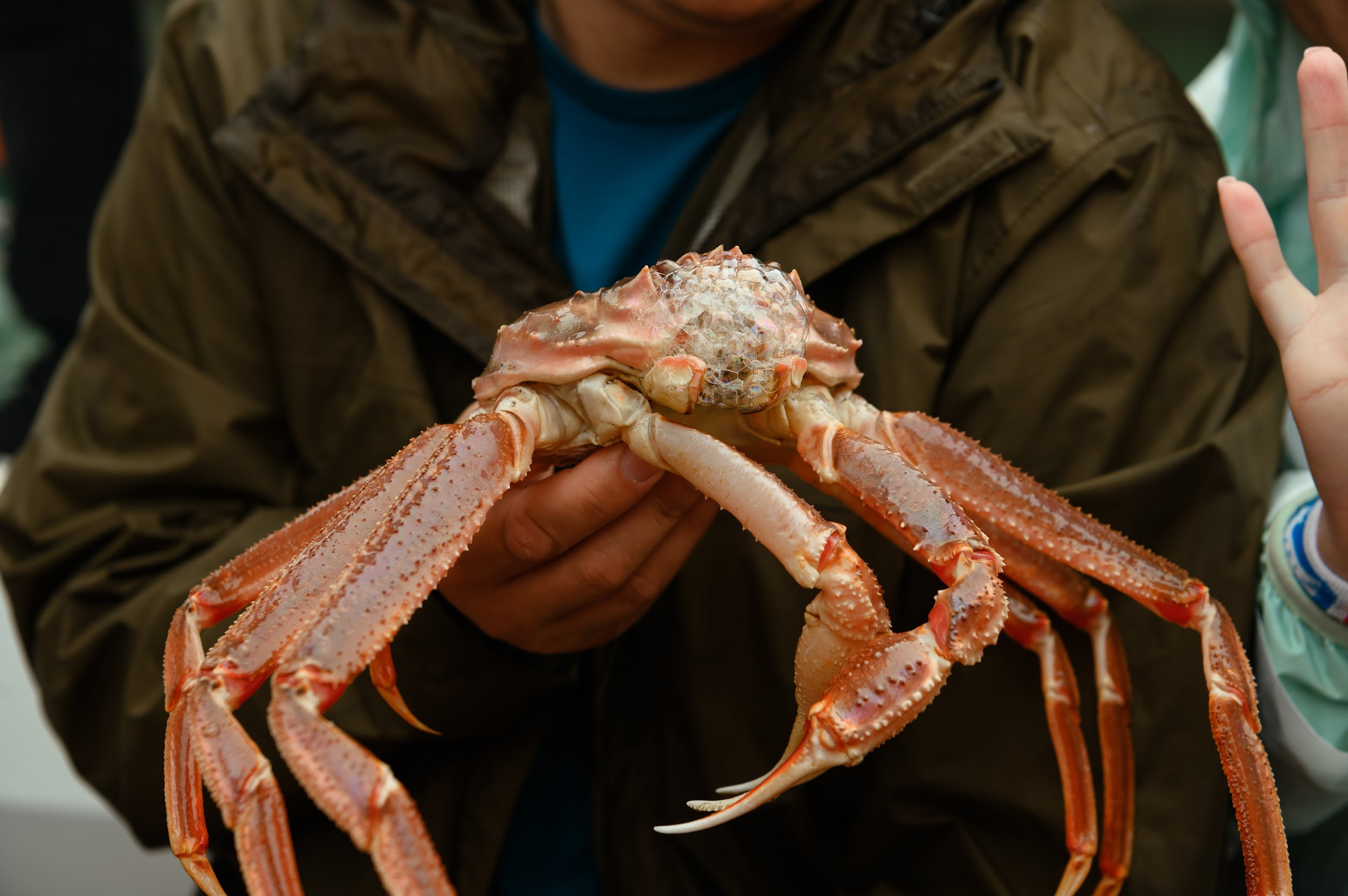 Камчатка 08.2024. Фотограф Марина Росси