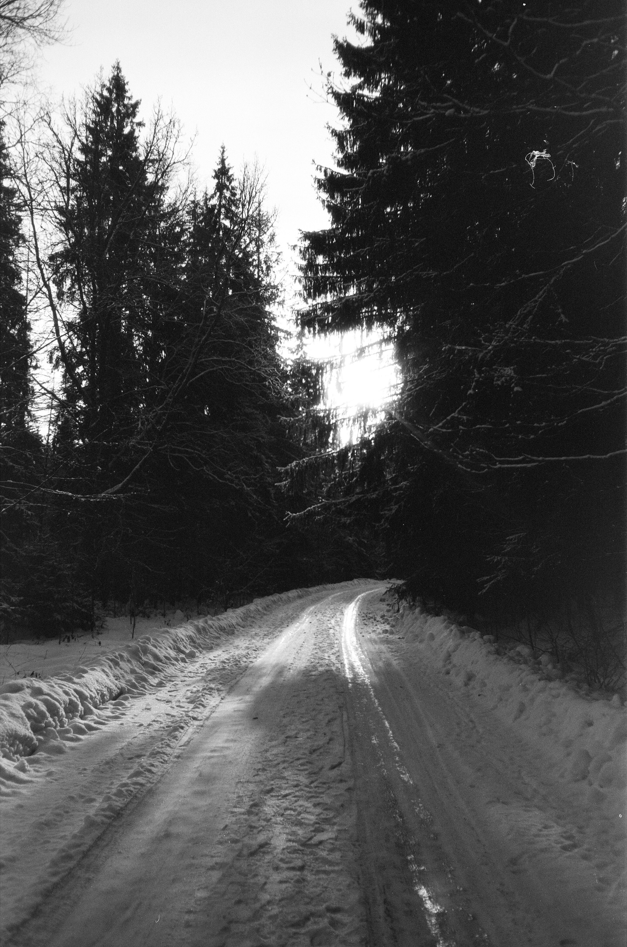 Minox 35GT / Тасма Т-25 ISO 100 / Давыдовское, Лукино