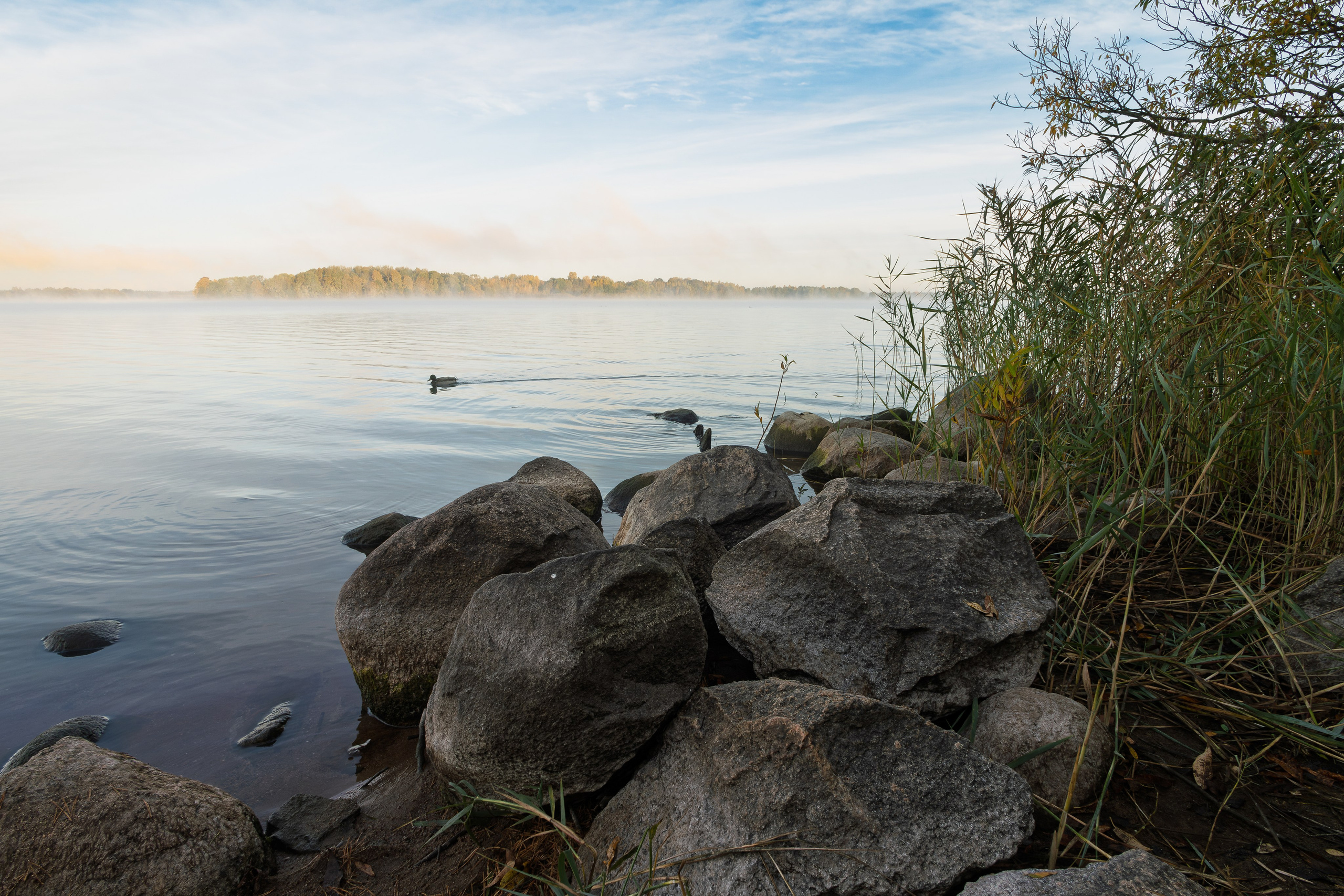 Голубые озера, Псковская область. Октябрь 2024. Фотограф Никифоров-Гордеев Сергей. Москва и МО