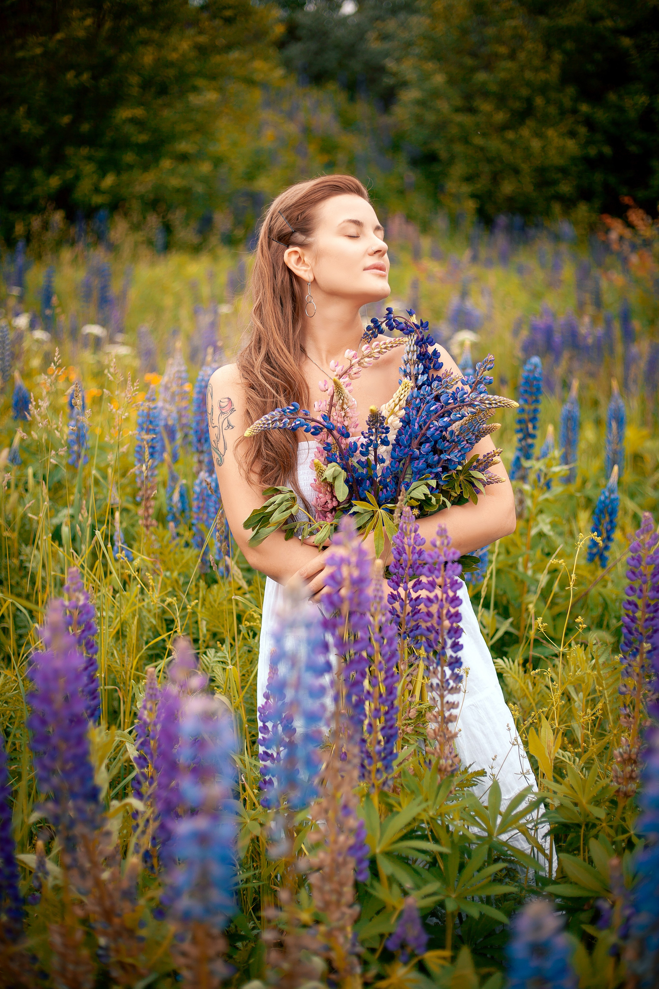 Люпины. Фотограф Мария Кольцова