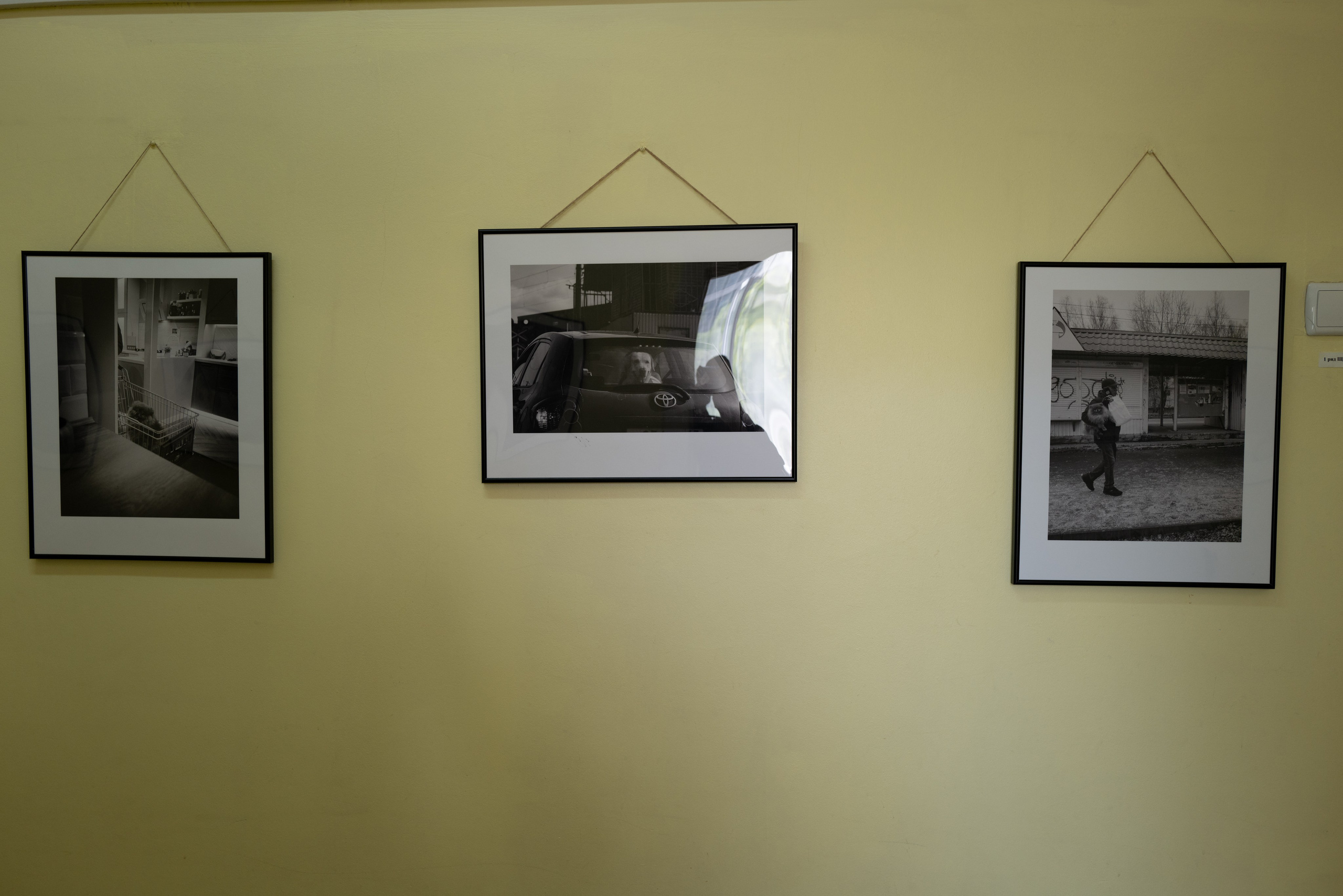 Выставка 01.04.2025. Фотограф Александр Тихонов