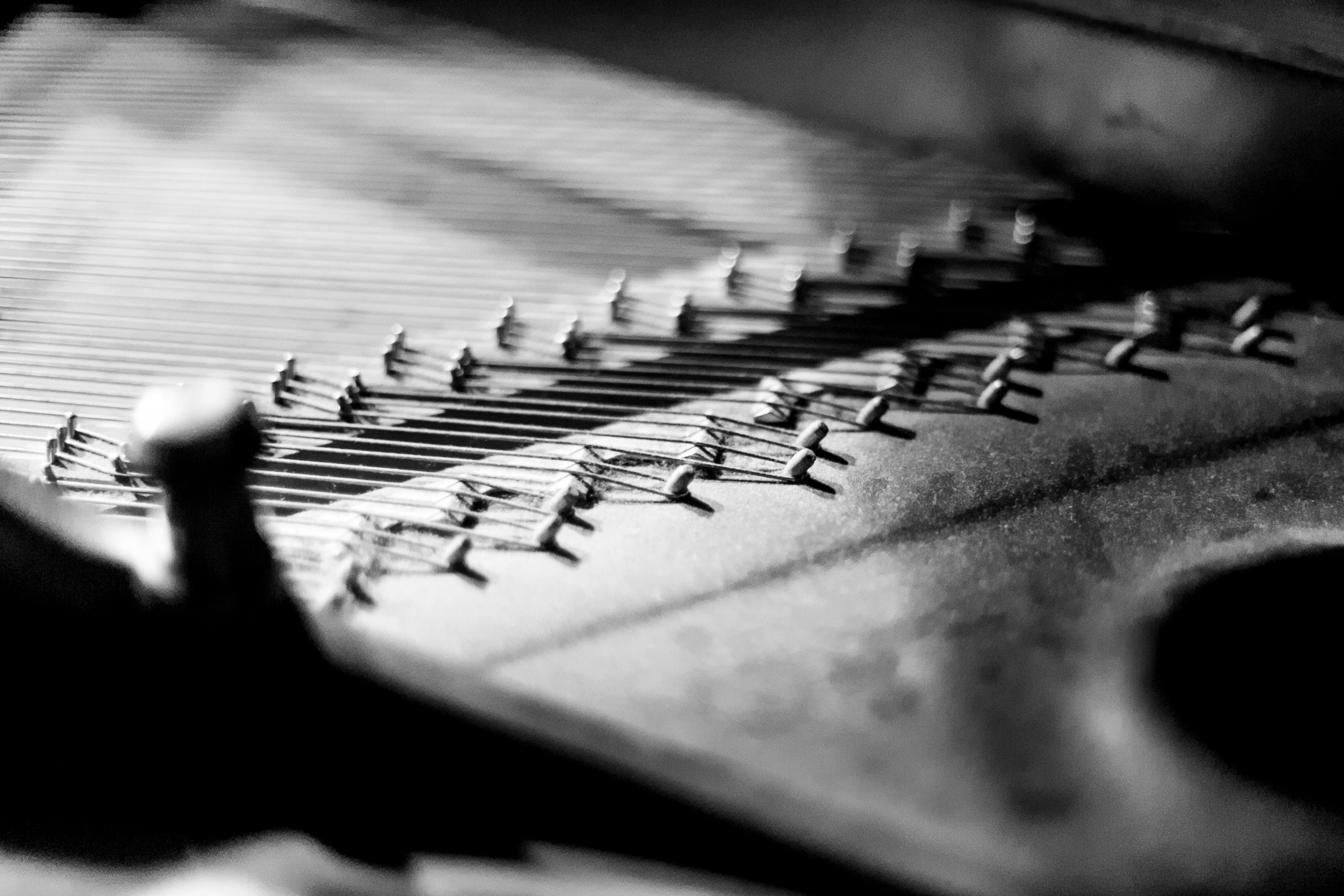 Фотосъемка концерта Дарьи Шорр в клубе Алексея Козлова. Репортажный фотограф Борис Геер