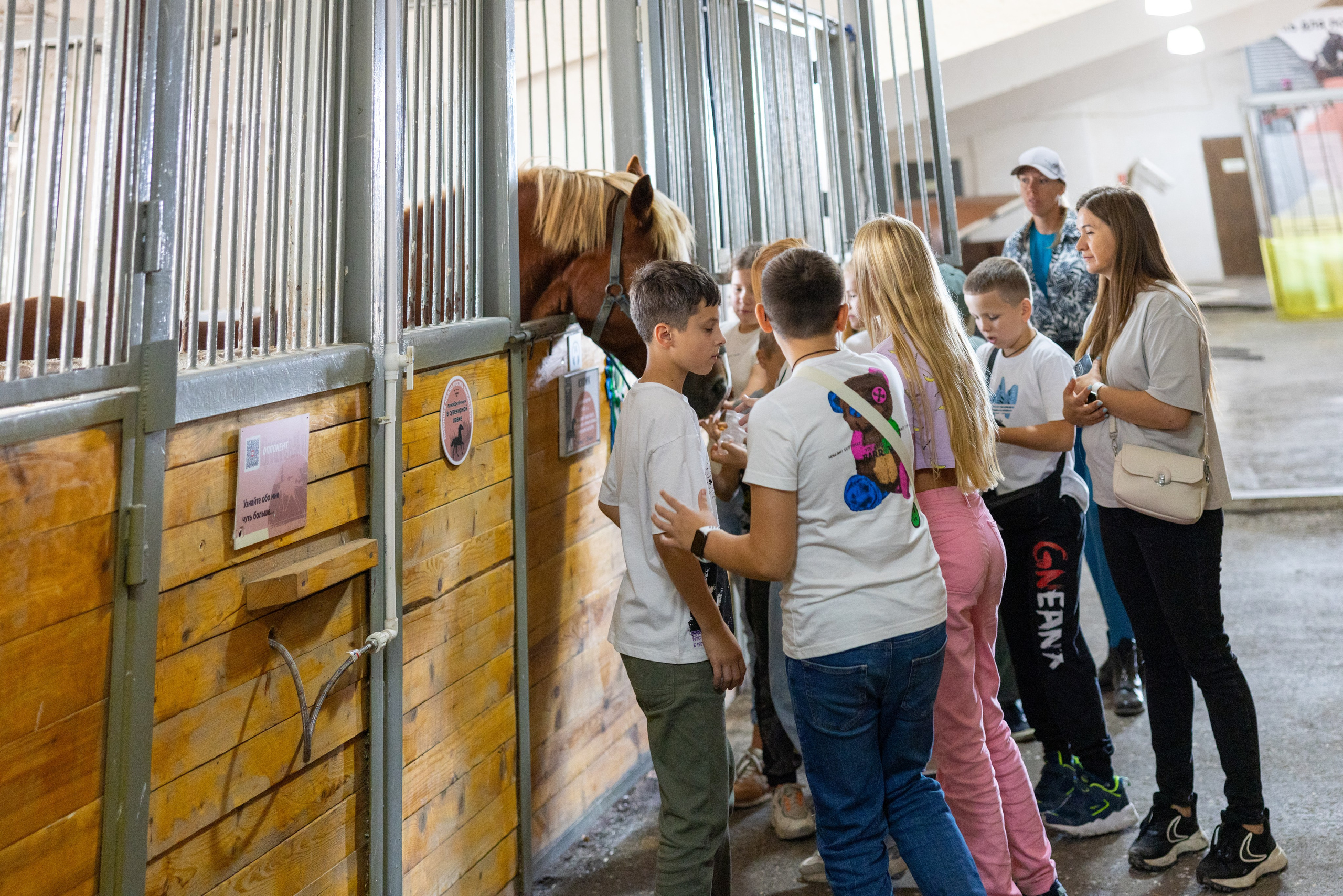 Поездка на поле Кулеково. Фотограф в Туле Крупский АнДРей. Фотостудия «КАДР71» в Туле