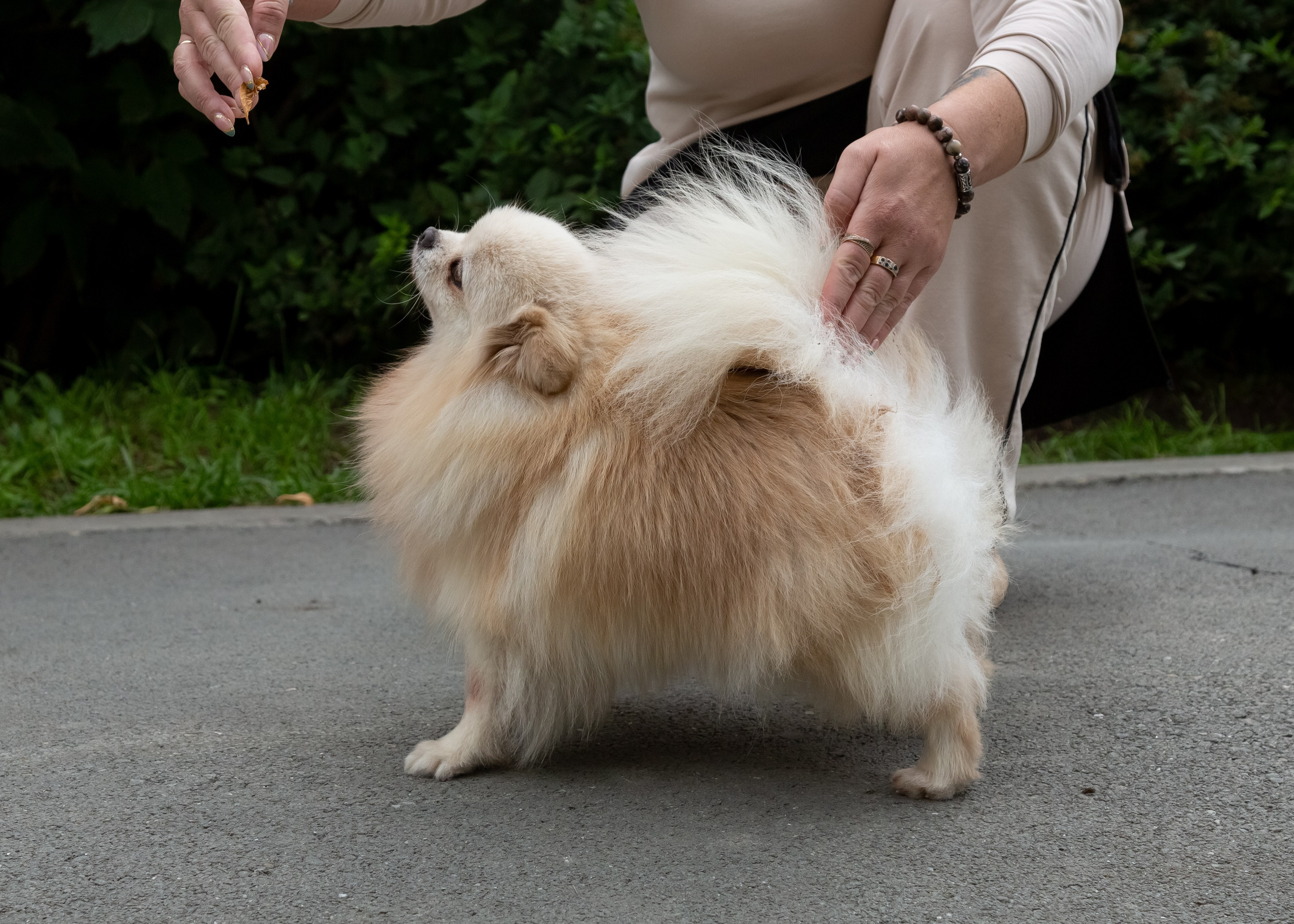 Фотосессия с животными. Фотограф в Барнауле Татьяна Чурикова