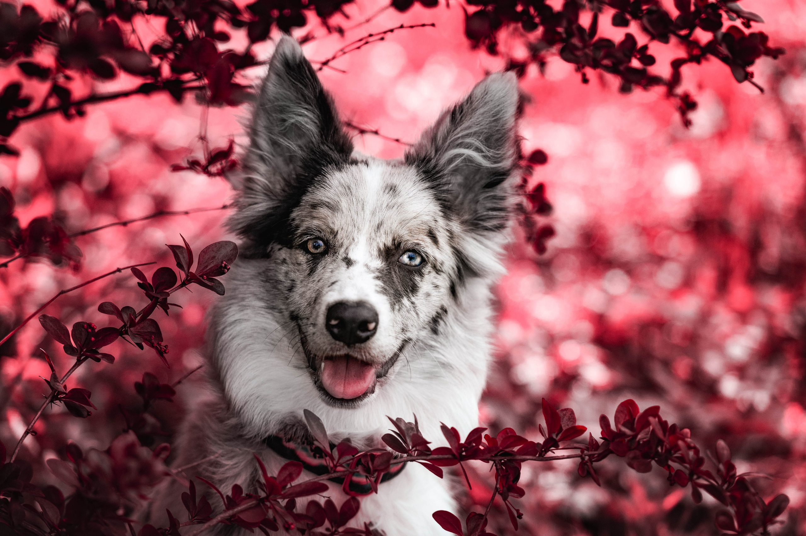 Весна на ВДНХ. Фотограф-анималист