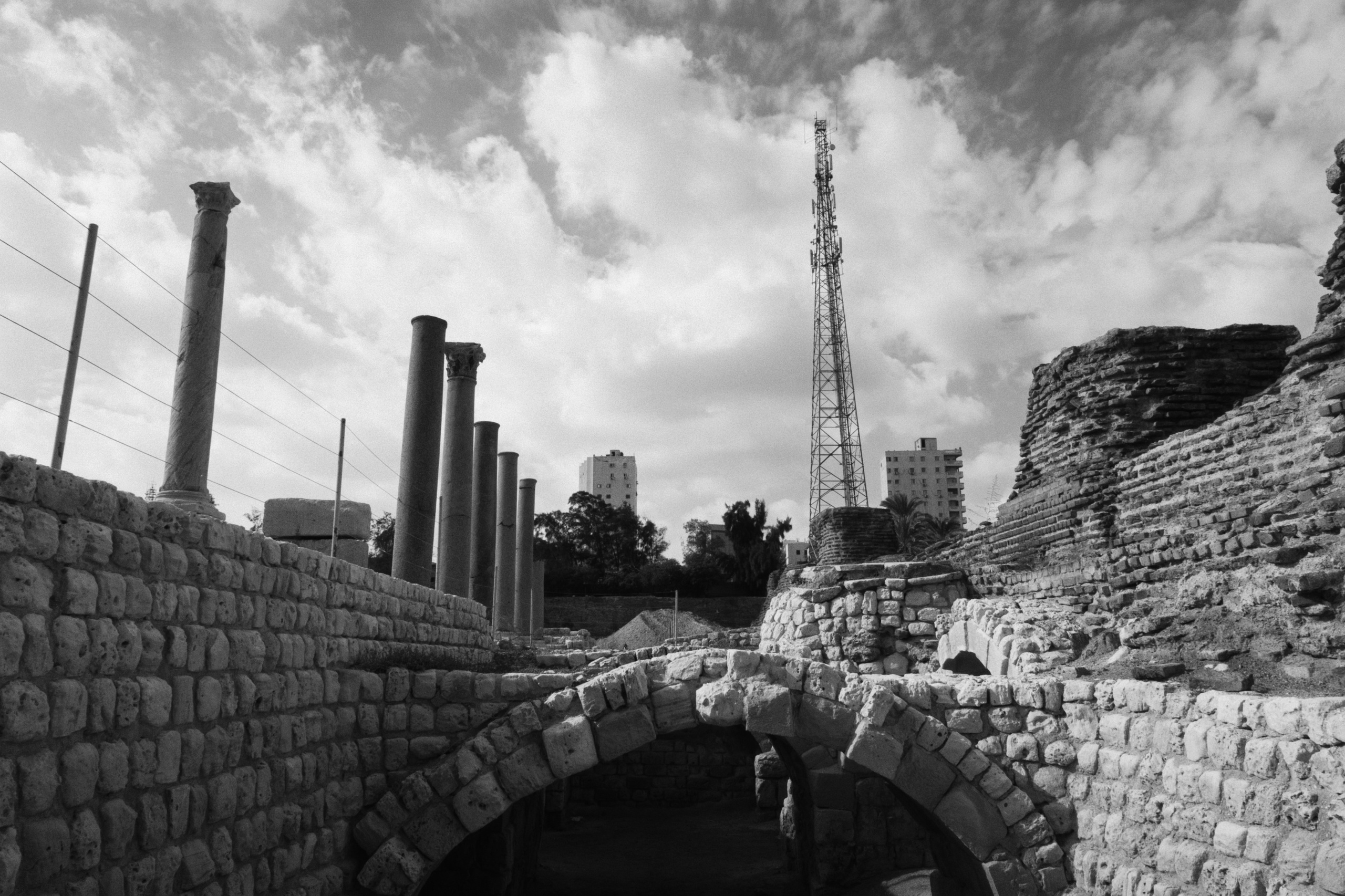 Alexandria / Egypt AW25. Фотограф Юрин Евгений