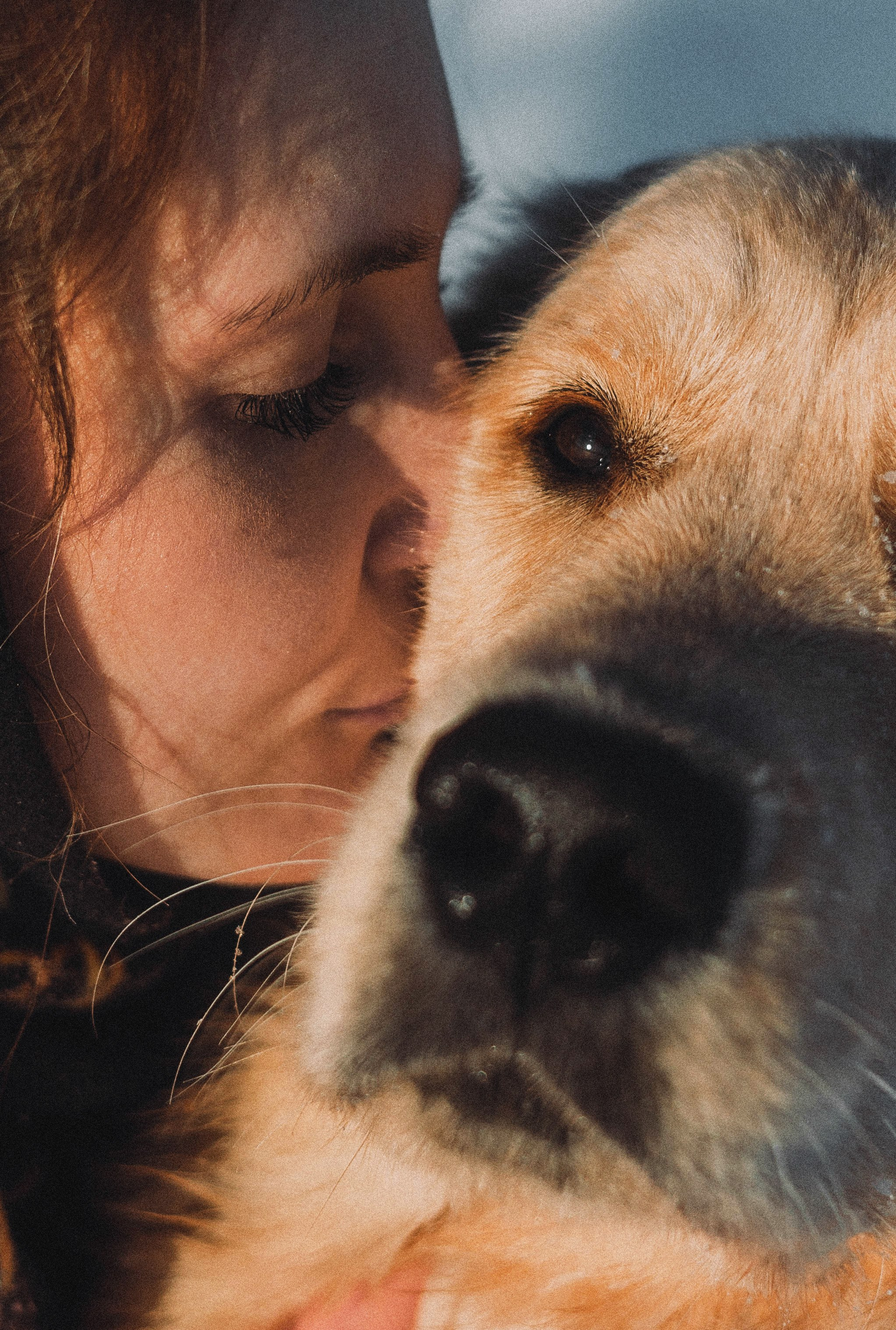 Лена и Декстер. Фотограф-анималист Богданова Полина