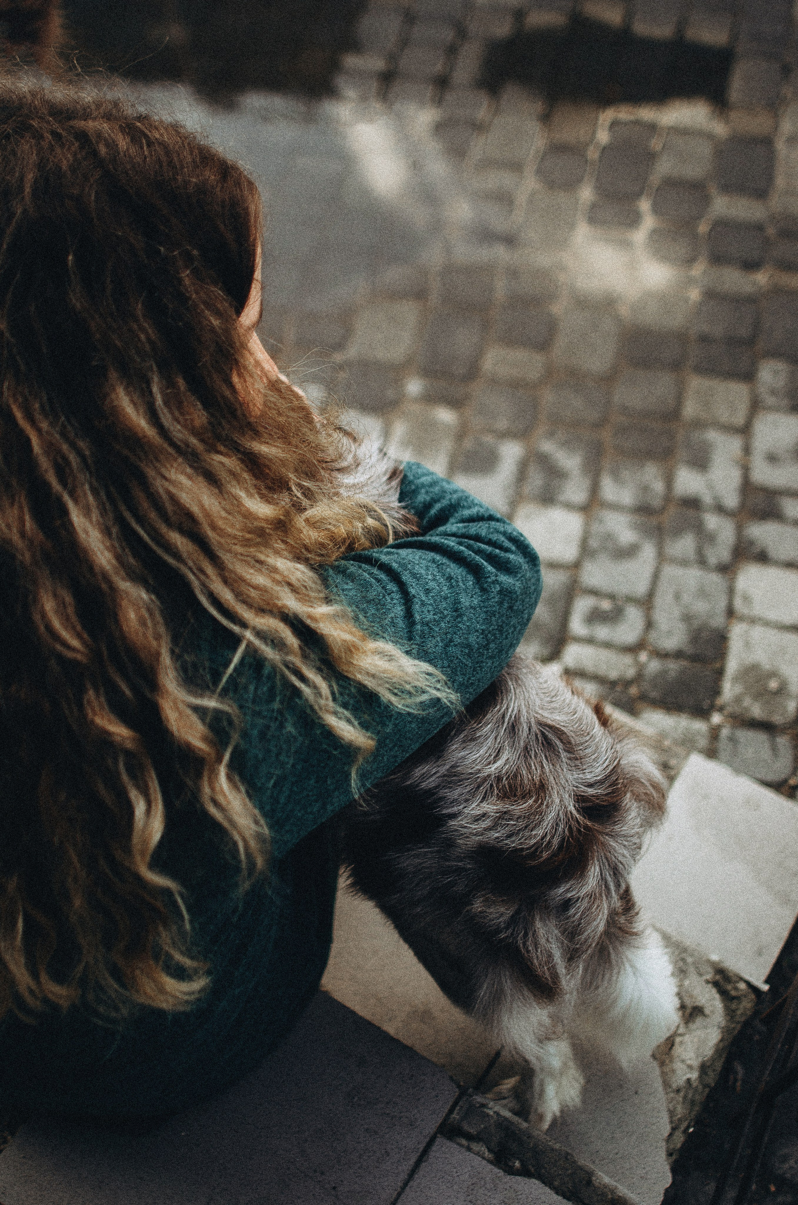 Алина и Бруна. Фотограф-анималист Богданова Полина