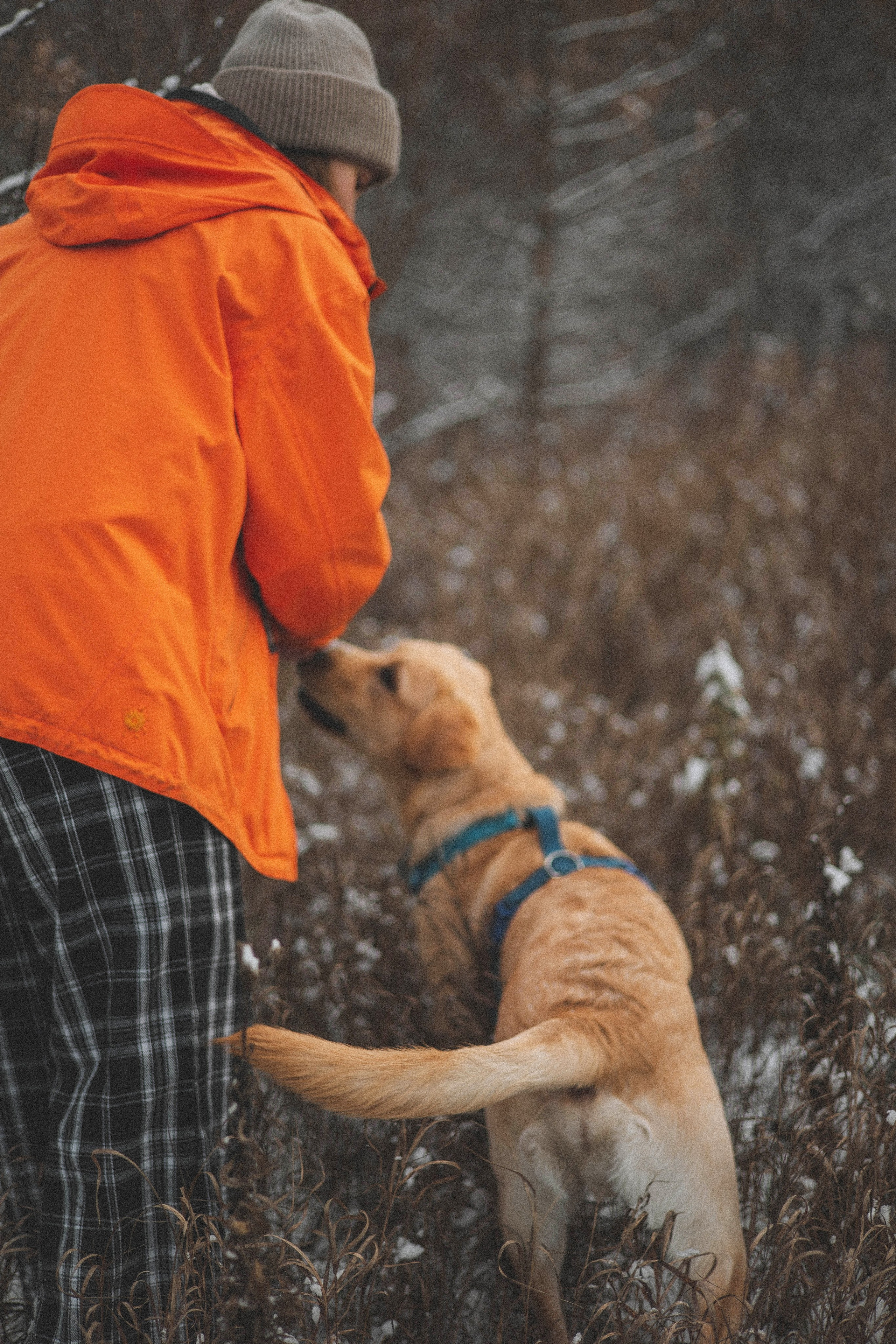 Маргарита и Варди. Фотограф-анималист Богданова Полина