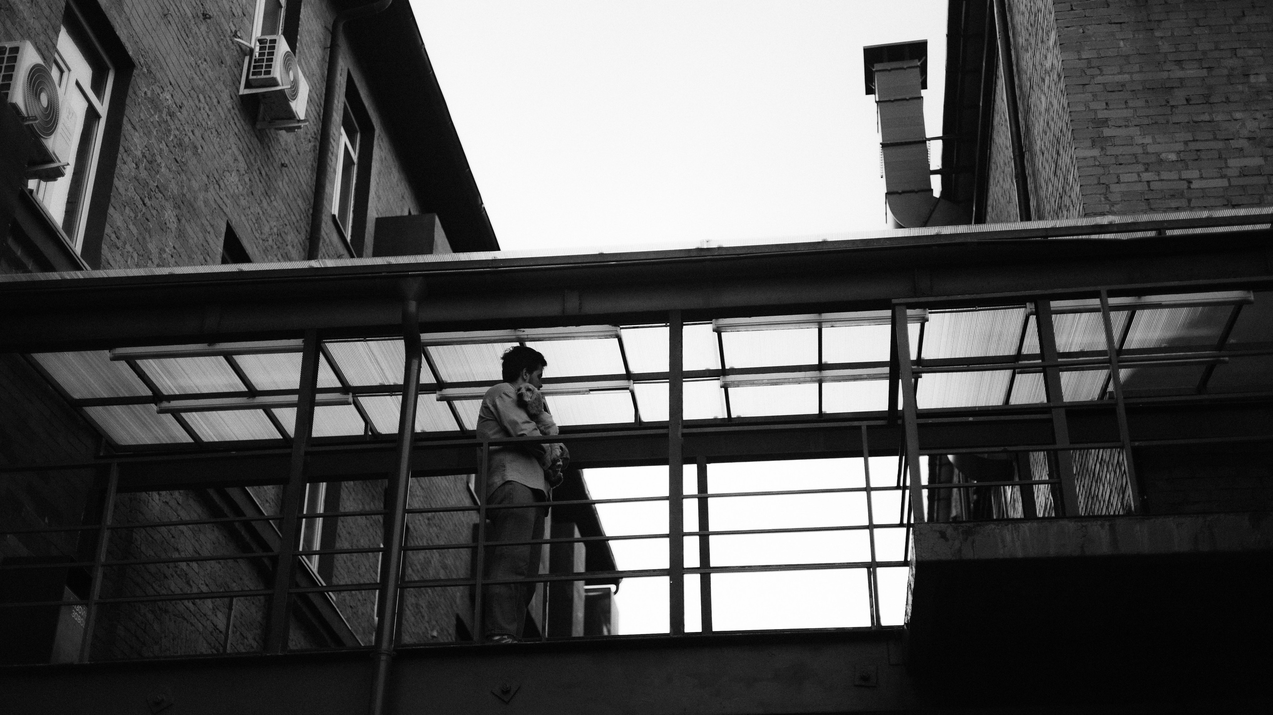 Аня, Андрей и Юта. Фотограф-анималист Богданова Полина