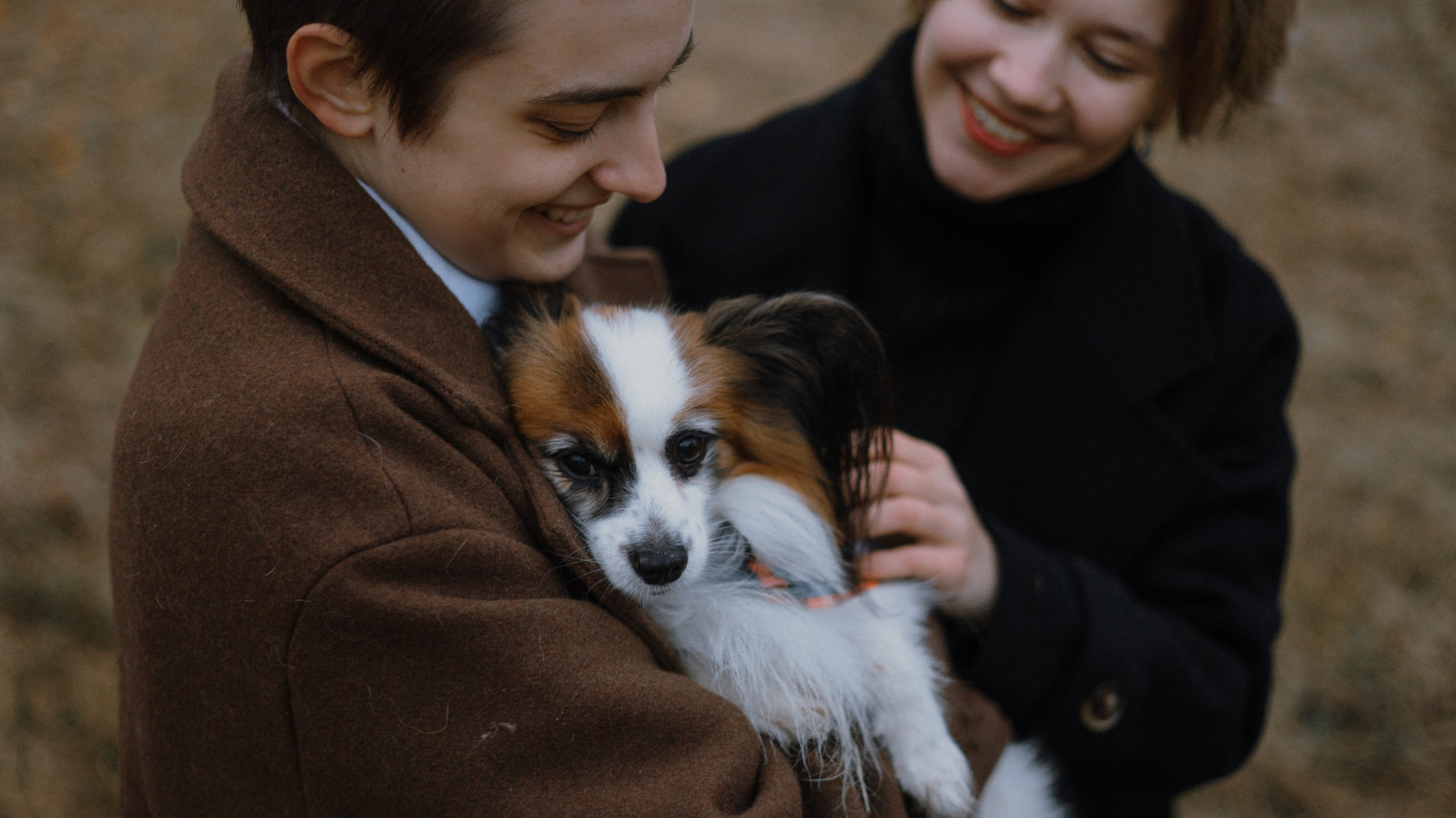 Маша, Катя, Астрид и Мася. Фотограф-анималист Богданова Полина