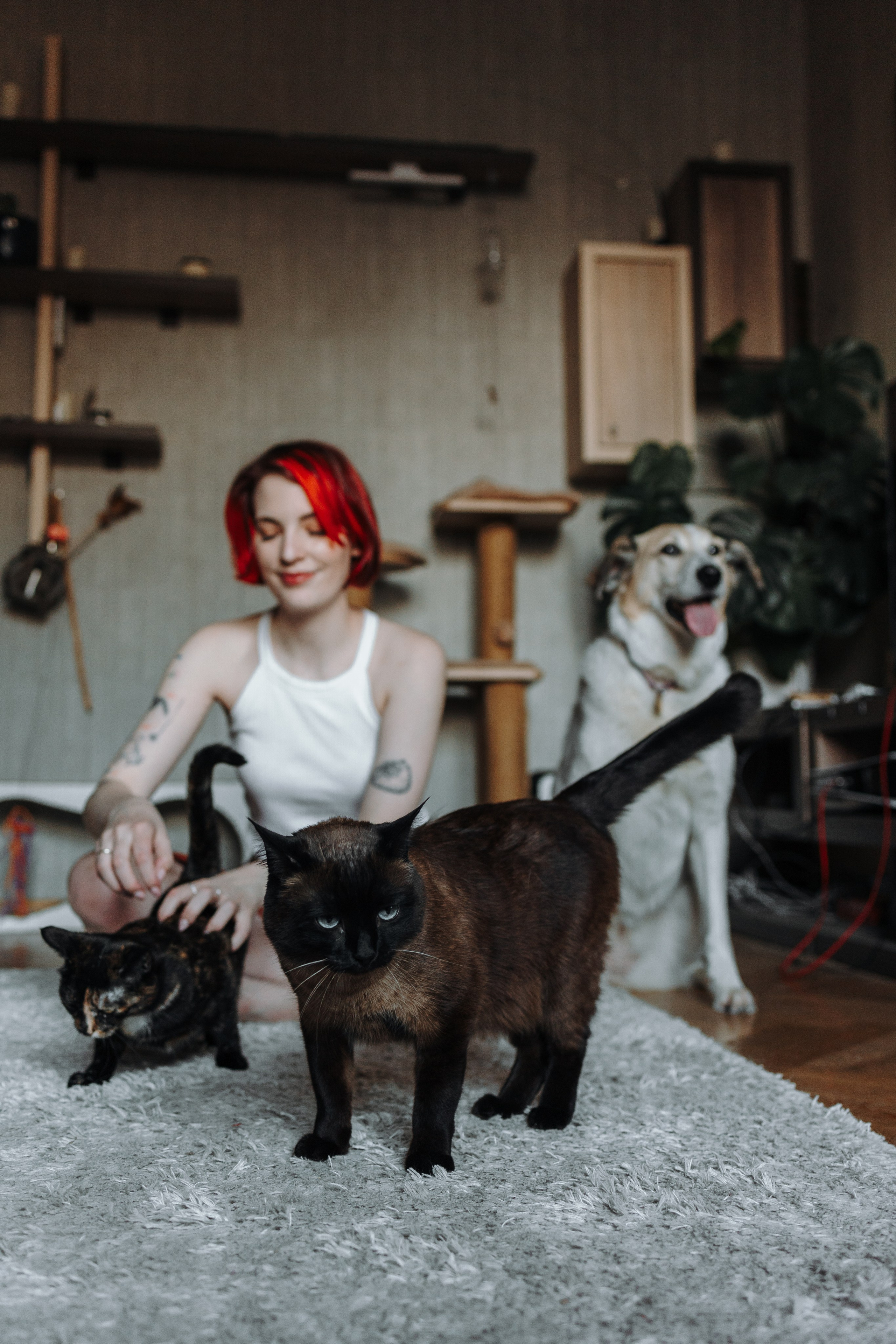 Саша и ее хвосты. Фотограф — Анималист | Санкт-Петербург