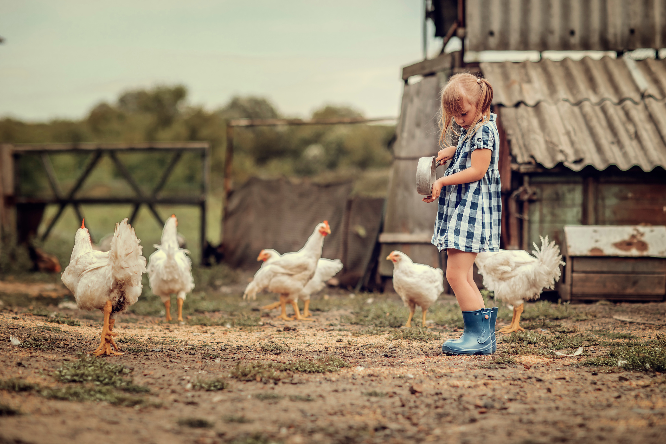 «Деревенские будни». Фотограф на крещение Воскресенск/Егорьевск/Коломна Елена Демик