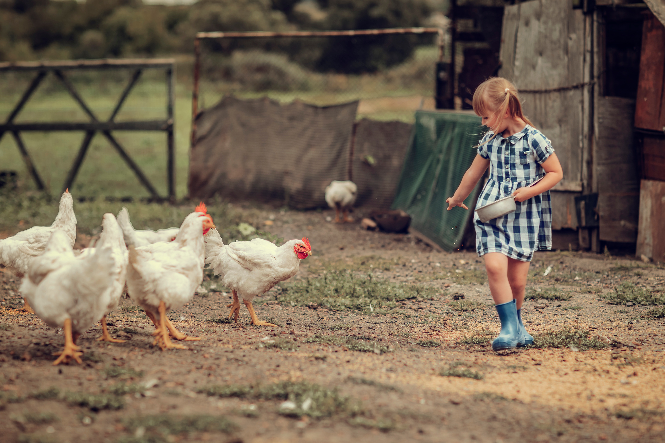 «Деревенские будни». Фотограф на крещение Воскресенск/Егорьевск/Коломна Елена Демик