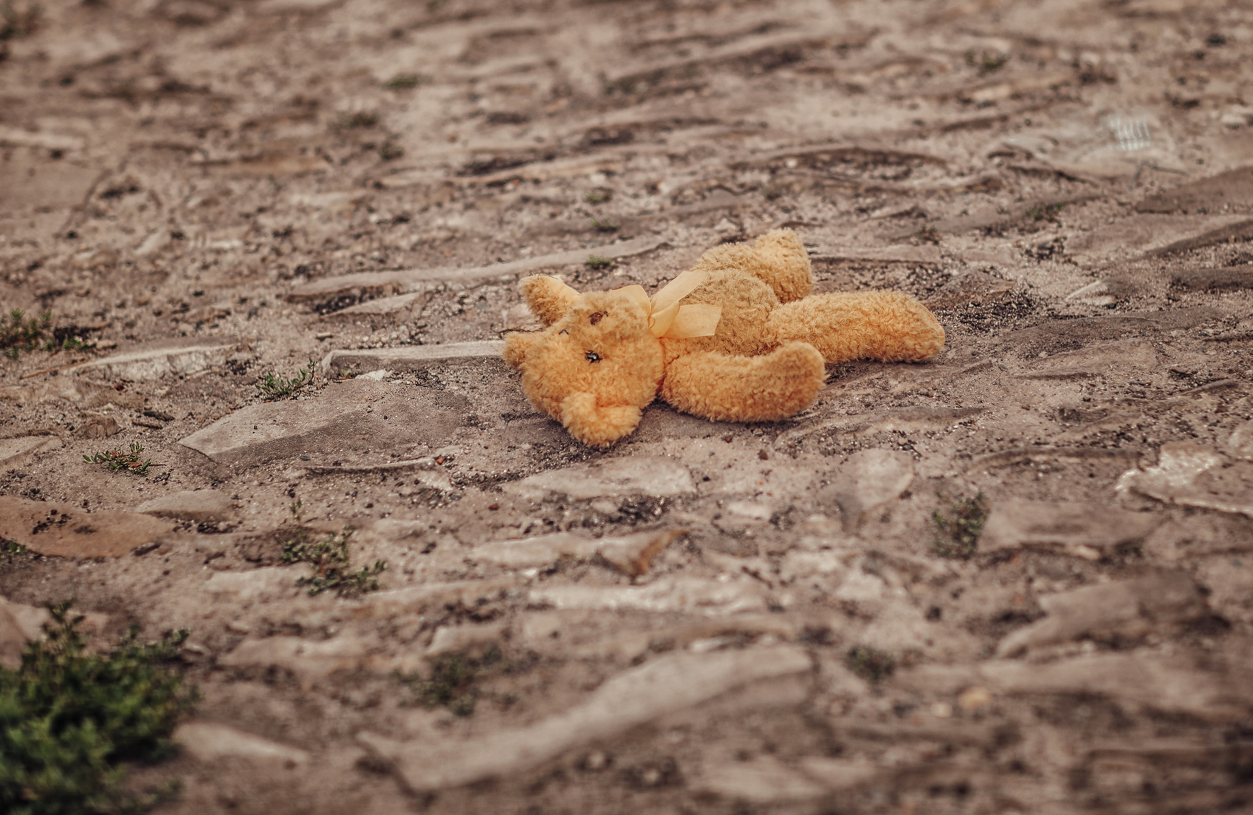 «Зарисовки лета». Фотограф на крещение Воскресенск/Егорьевск/Коломна Елена Демик