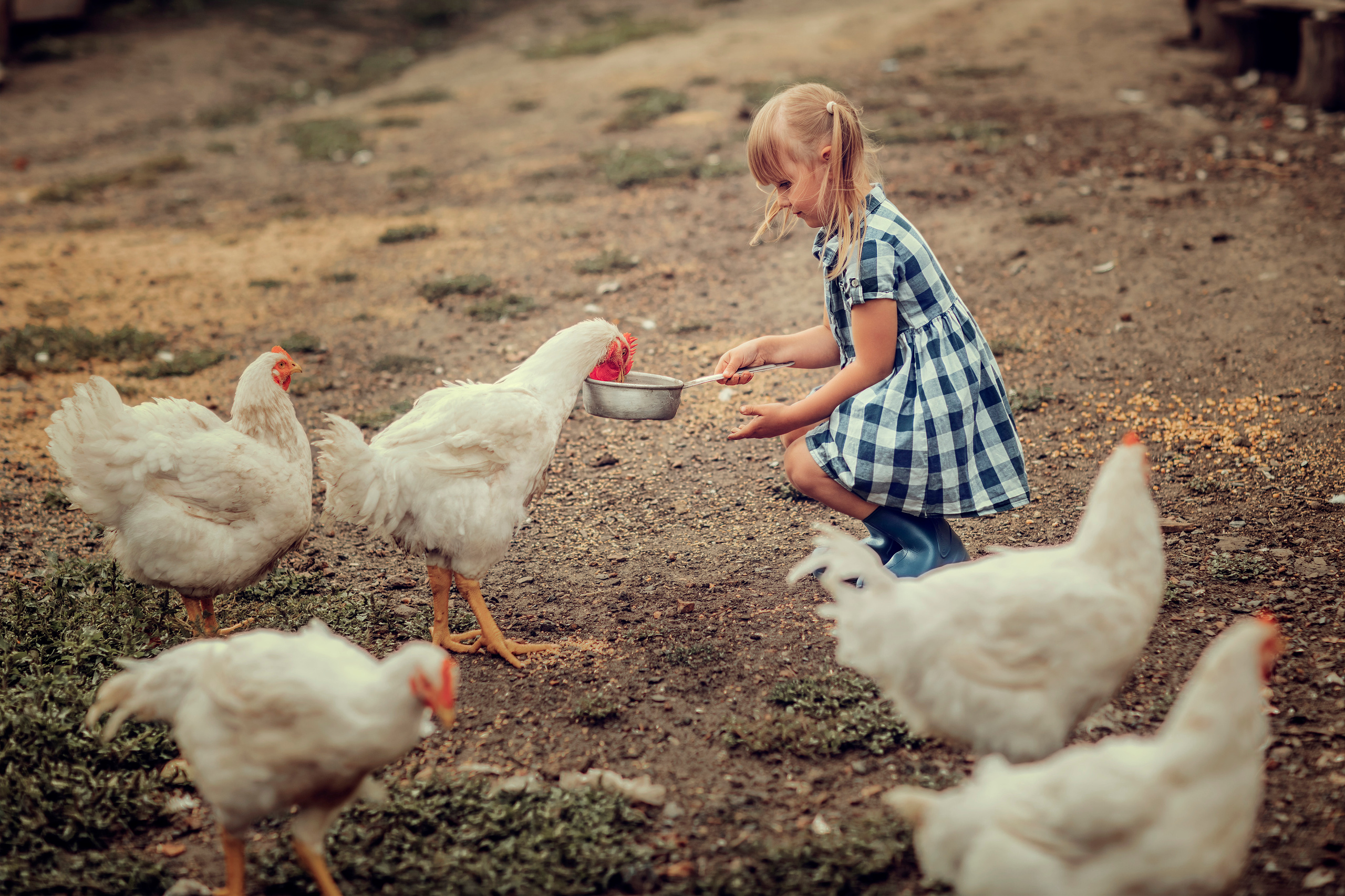 «Деревенские будни». Фотограф на крещение Воскресенск/Егорьевск/Коломна Елена Демик